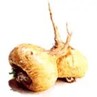 pic2.png