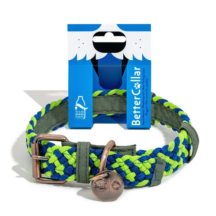 pic1.png