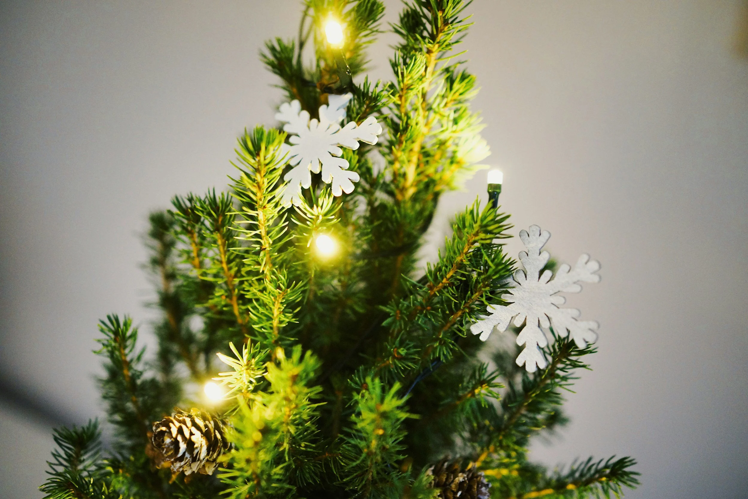 Tree of Light