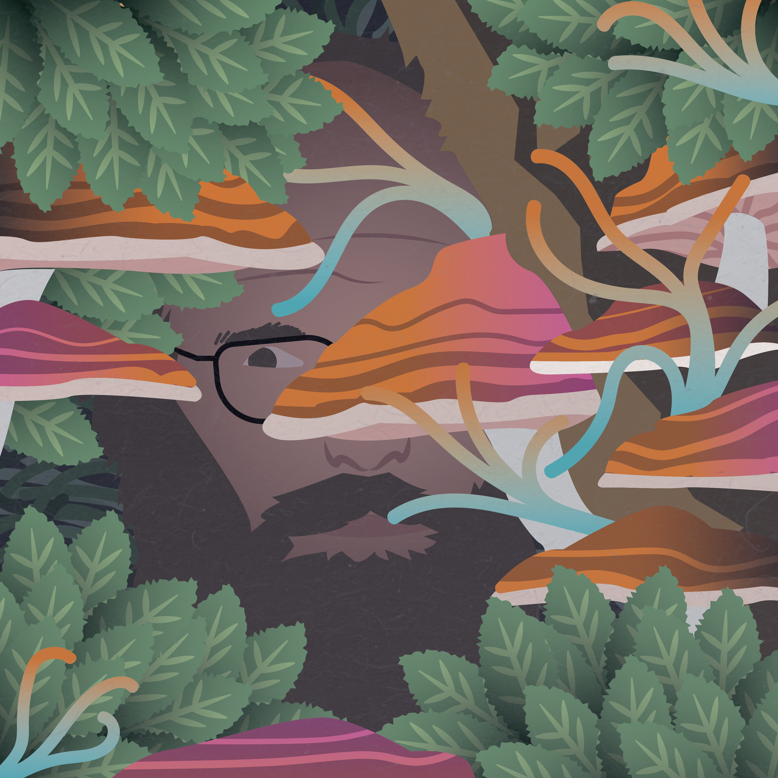 North Pond Hermit Editorial