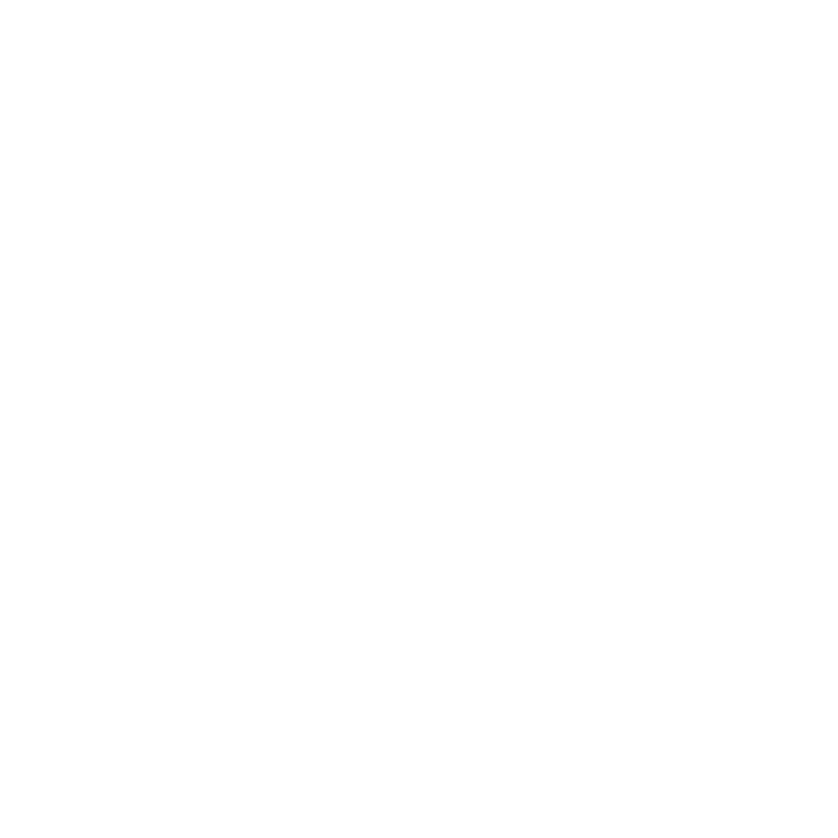 Nika Libres Photography logo