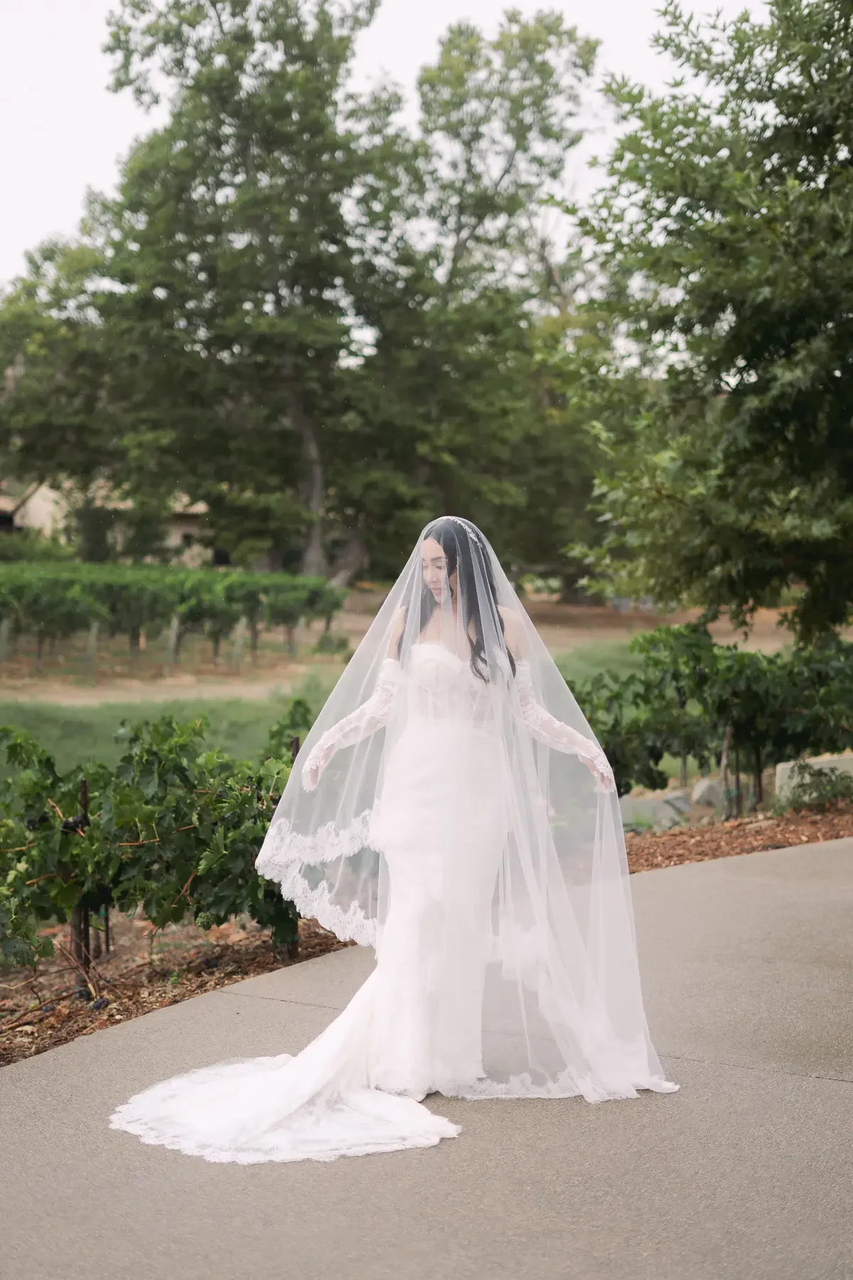 monserate-winery-san-diego-wedding-venue-bridal-portrait.webp