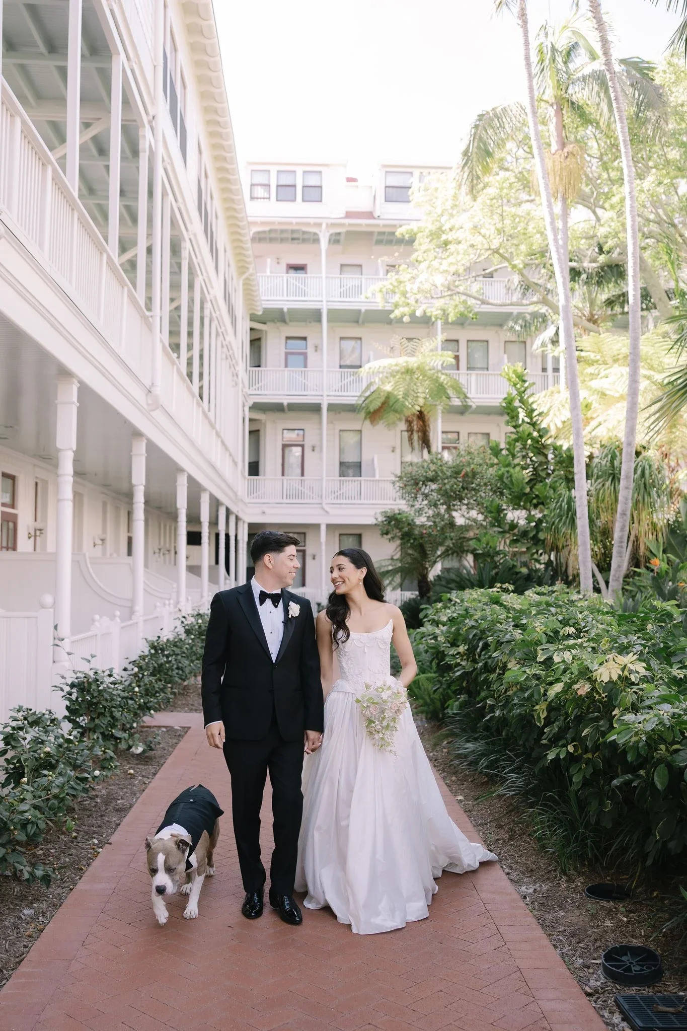 hotel-del-coronado-wedding-couple-walking-with-dog.webp