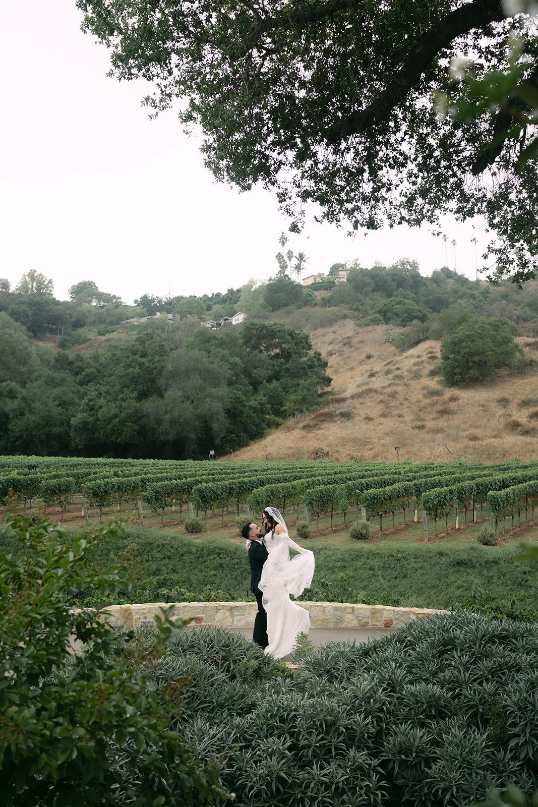 Wedding portrait with nature backdrop at Monserate Winery