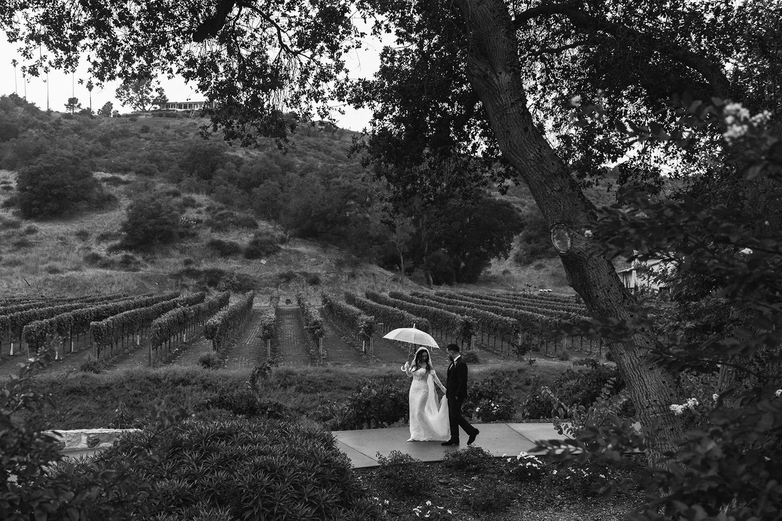 Bride and groom walking down a path with vineyard views at Monserate Winery