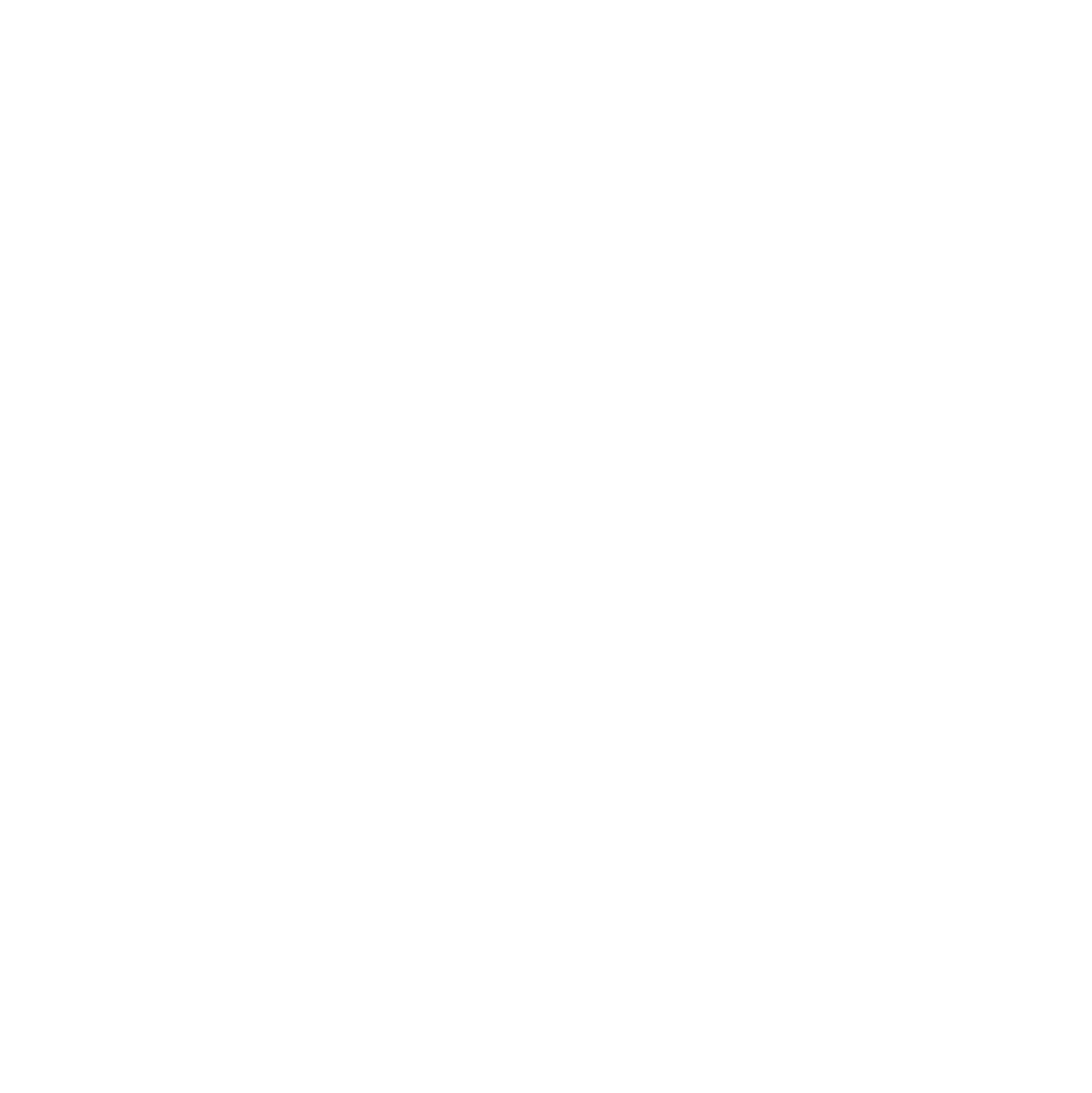 Nika Libres - San Diego Wedding Photographer