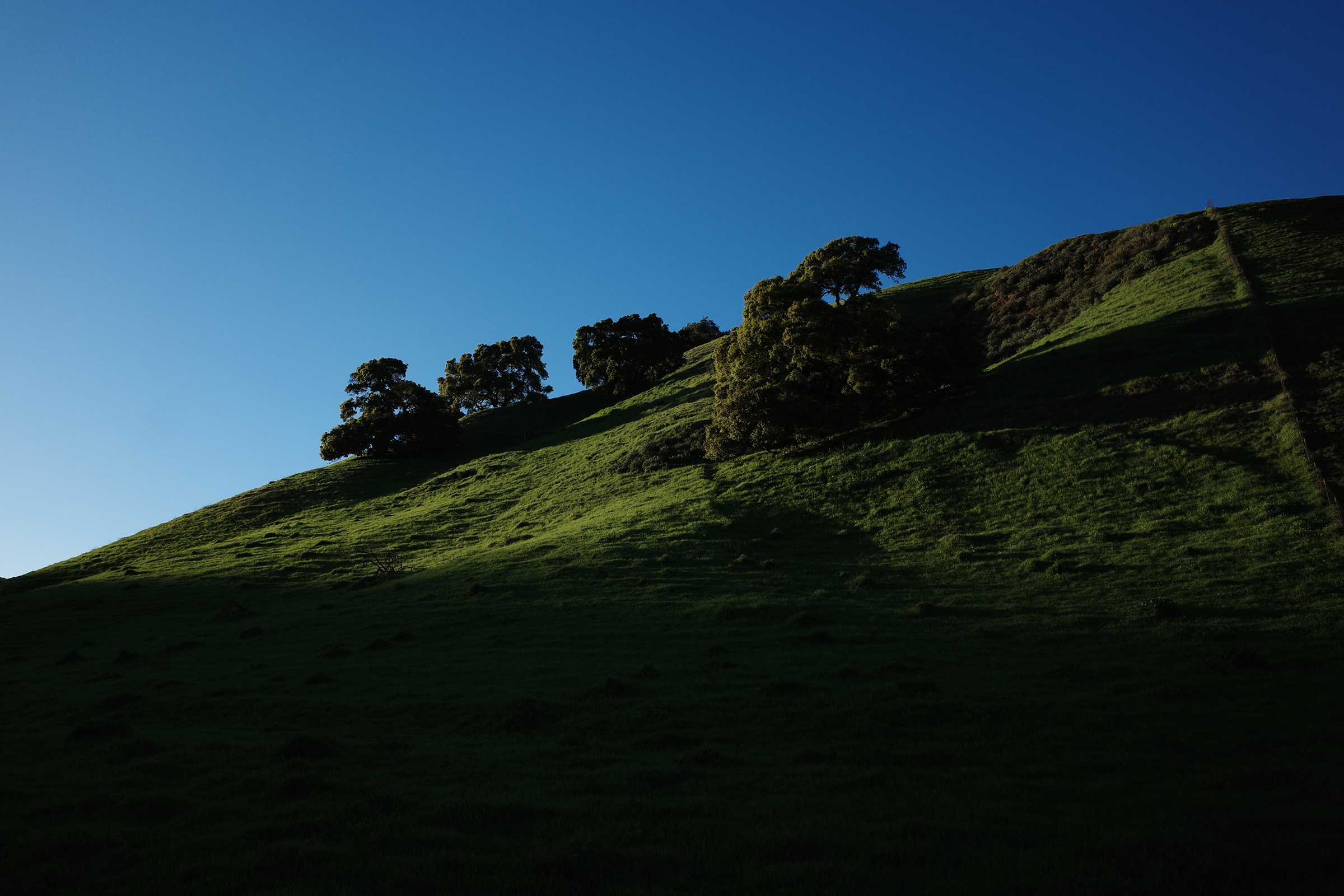 BRIONES smaller 2.png