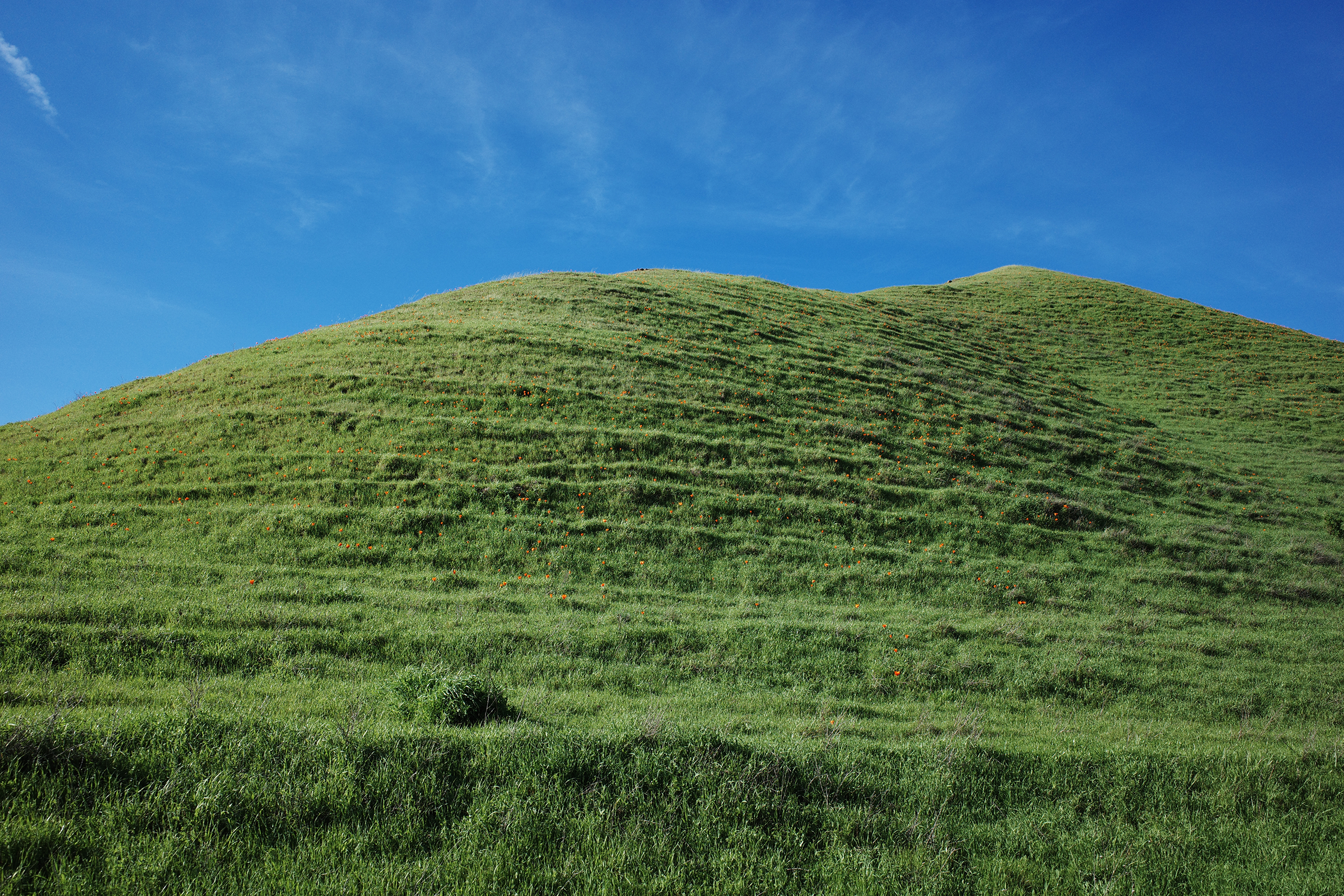 BRIONES SMALLER 1.png