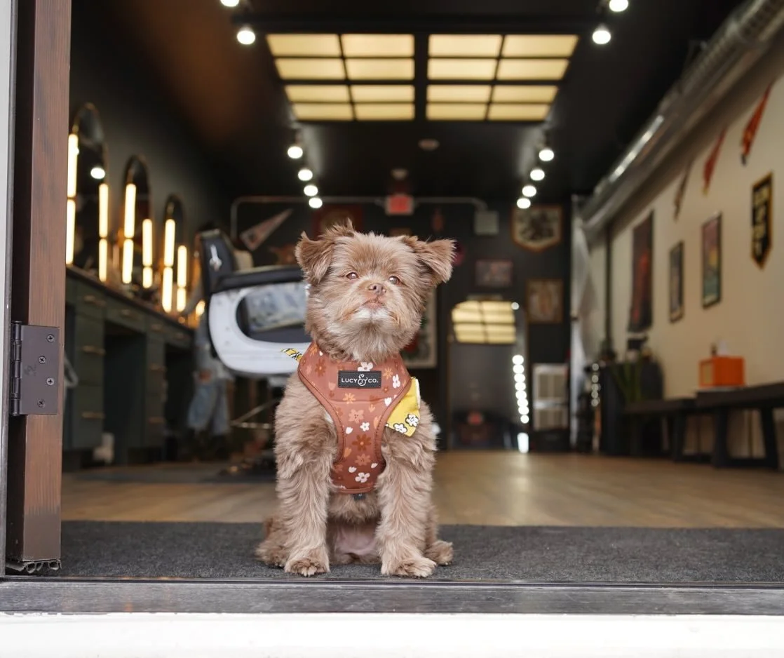 Gypsy is here to remind you to book your appointments at least a week out! It&rsquo;s definitely haircut season and we&rsquo;ve been super slammed this summer.

Thanks for keeping us so busy MKE

See ya soon 🤘
#BLINDSIDEBARBERCO