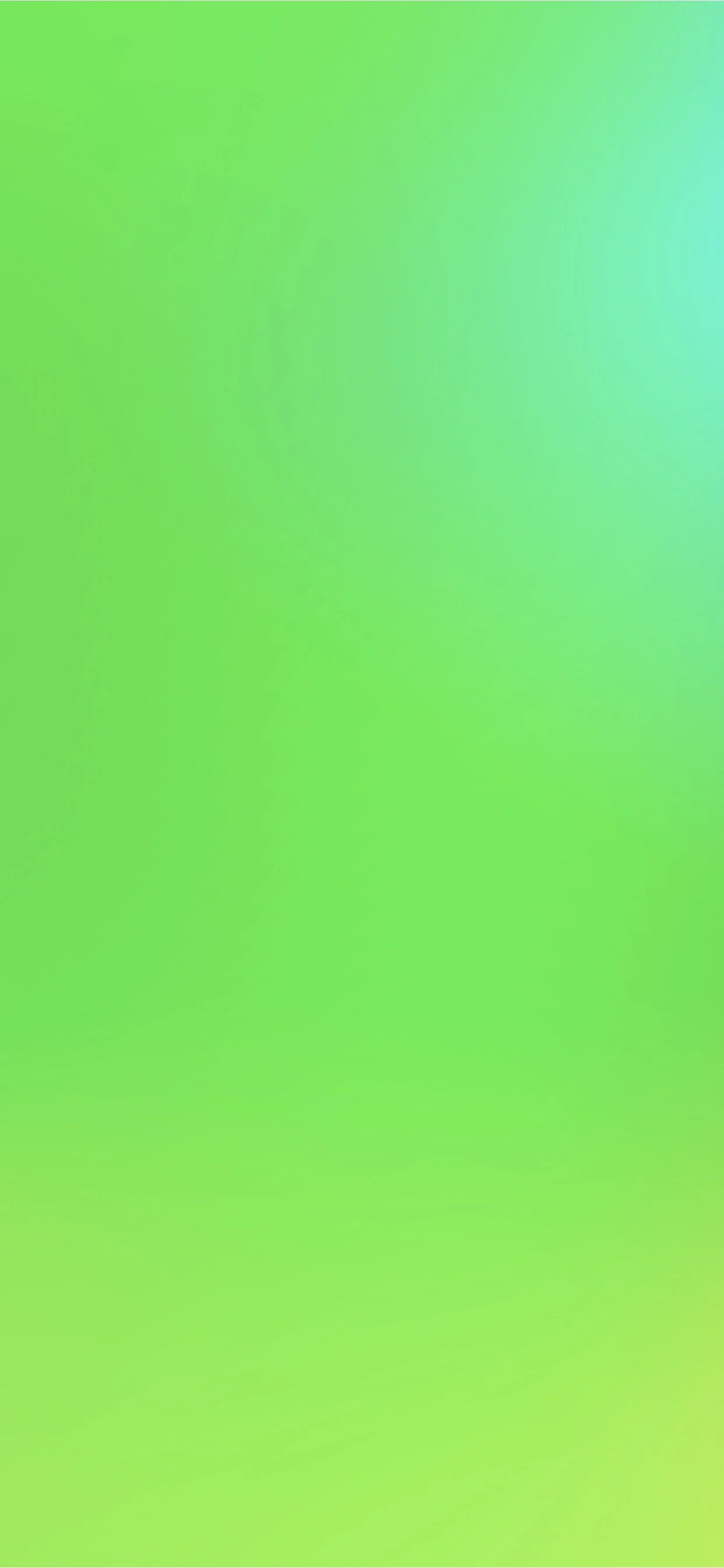 wallpaper-08_o.jpg
