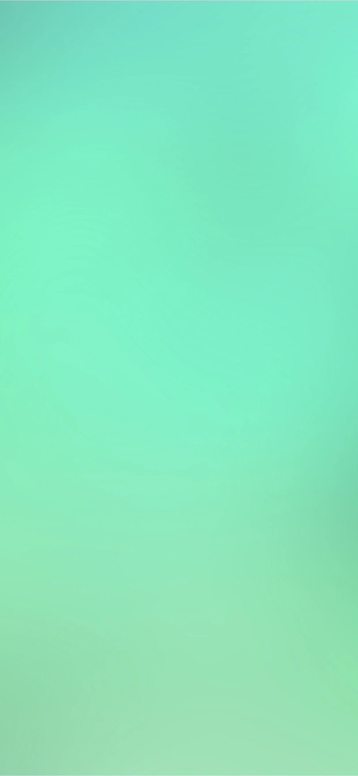 wallpaper-03_o.jpg
