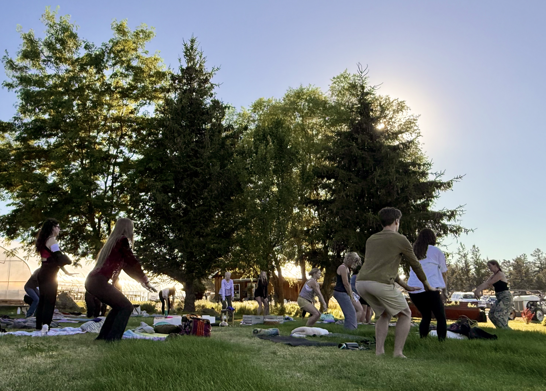 People participating in an outdoor yoga or meditation session in a park during sunset, with trees and a clear sky in the background.