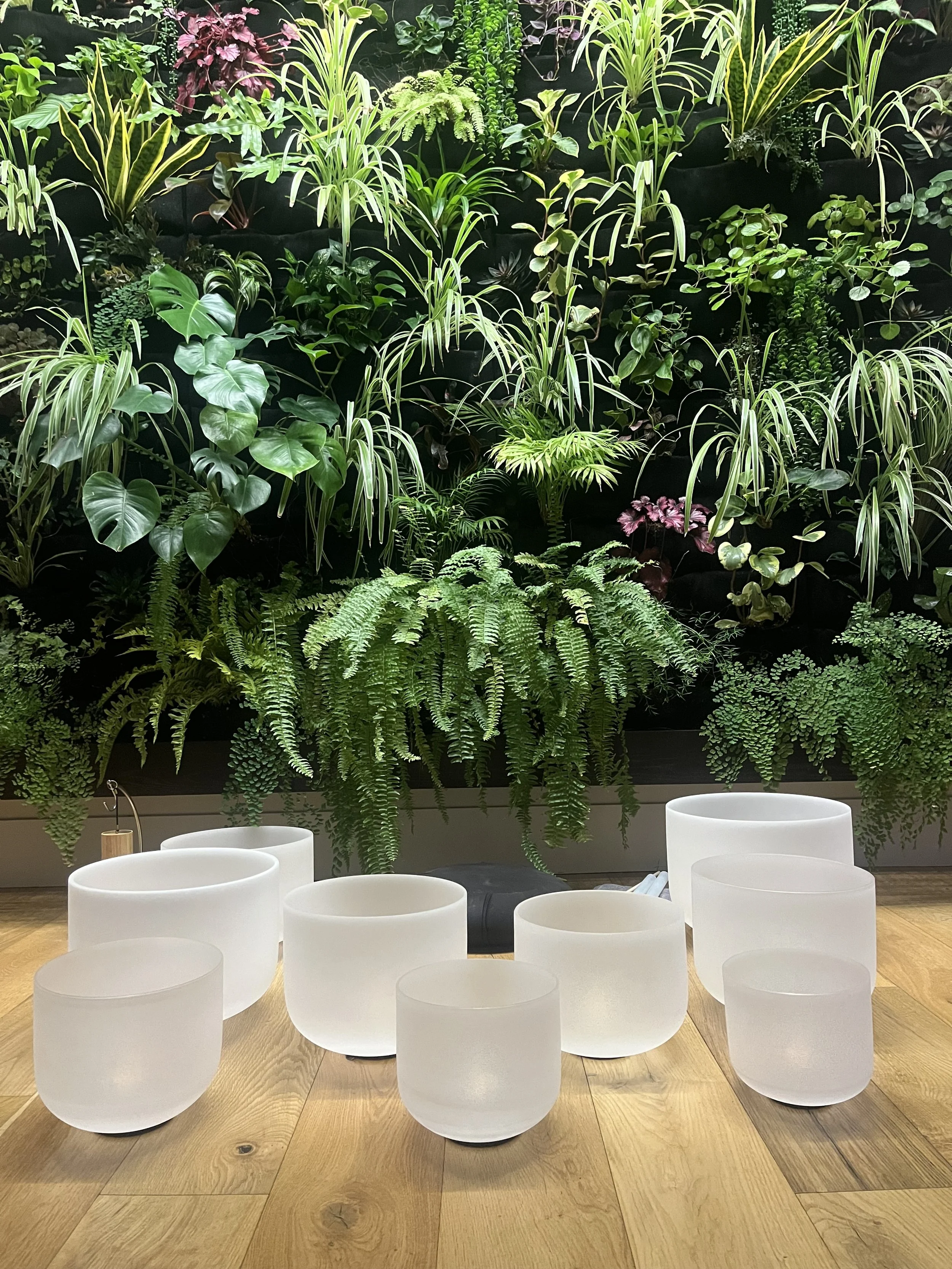 Slow-Flow YOGA + SOUND BATH at Hanai Center