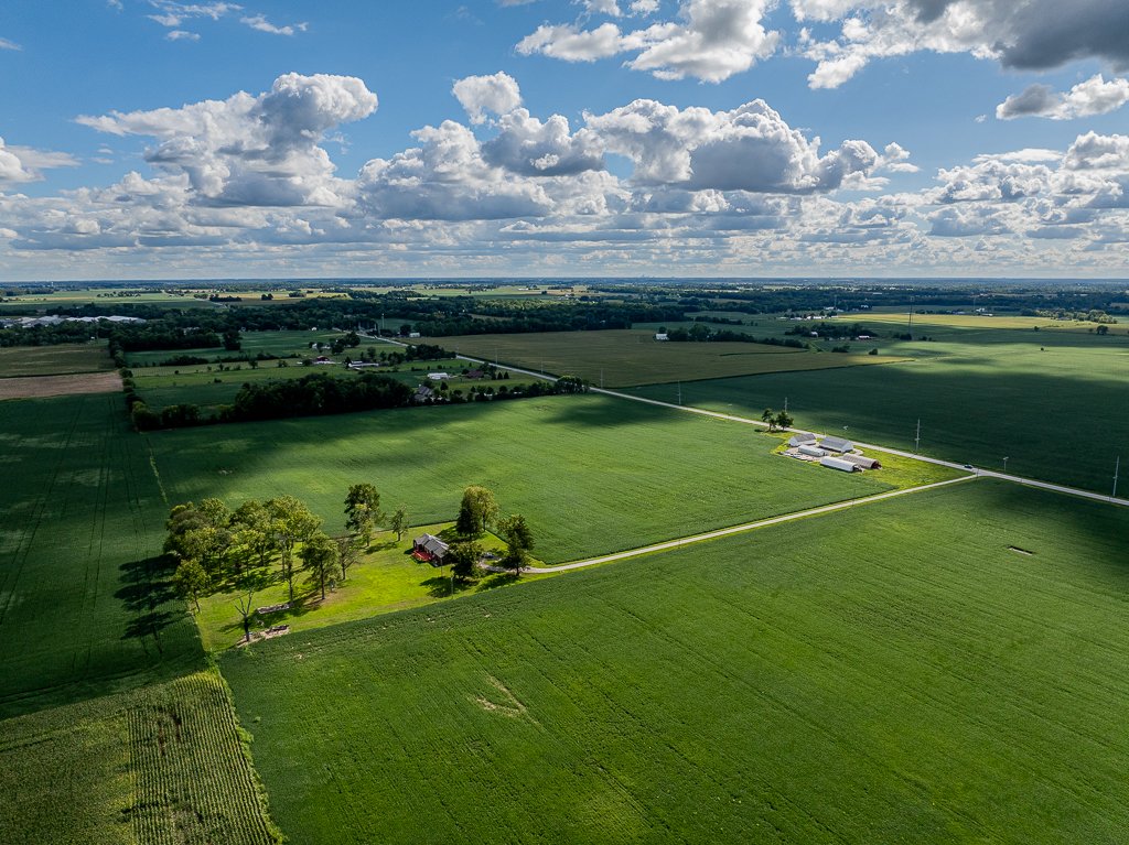 Aerial view of three adjacent agricultural fields with different crops and colors: green, yellow, and brown.