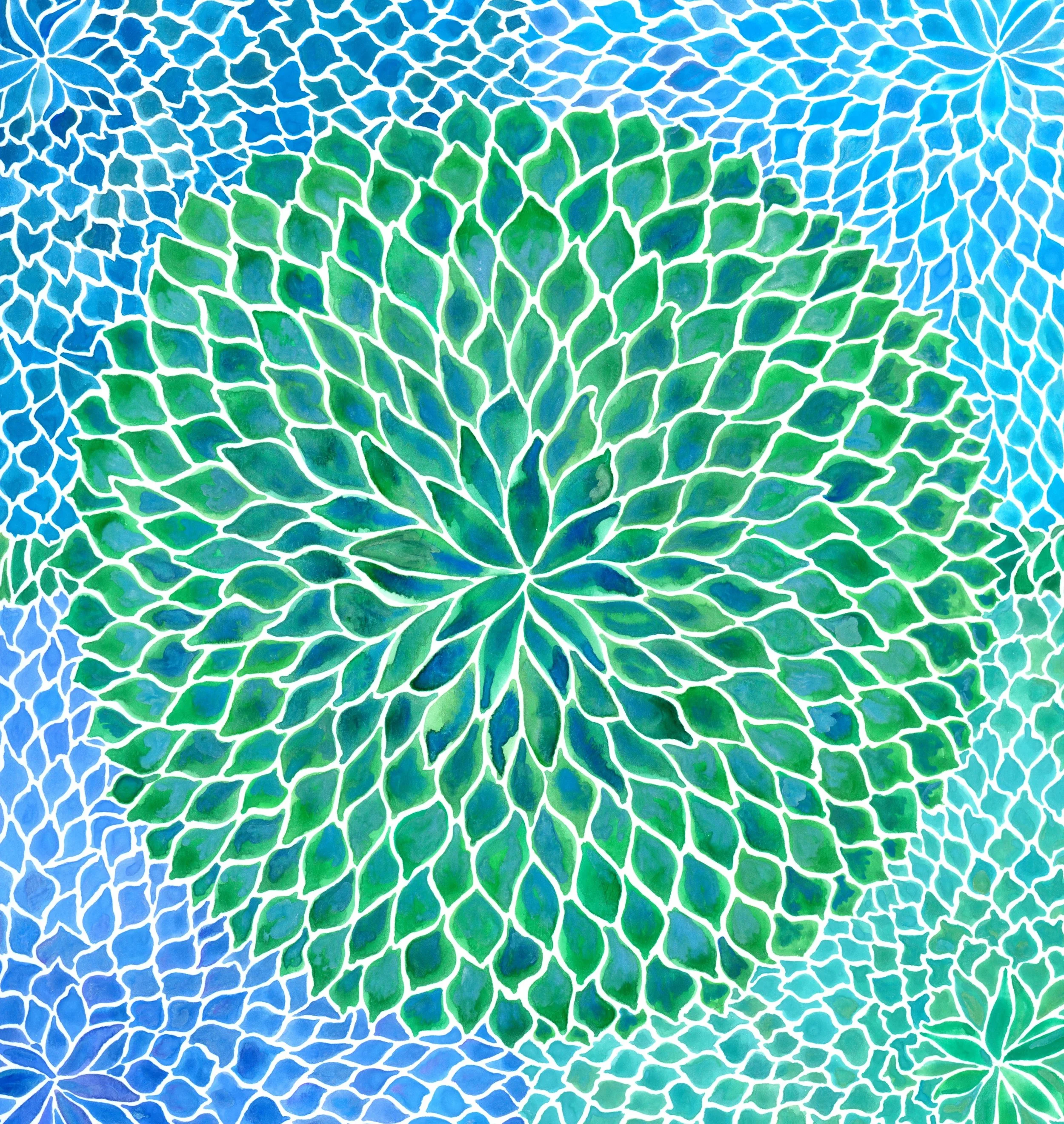 Succulent Circle/Square