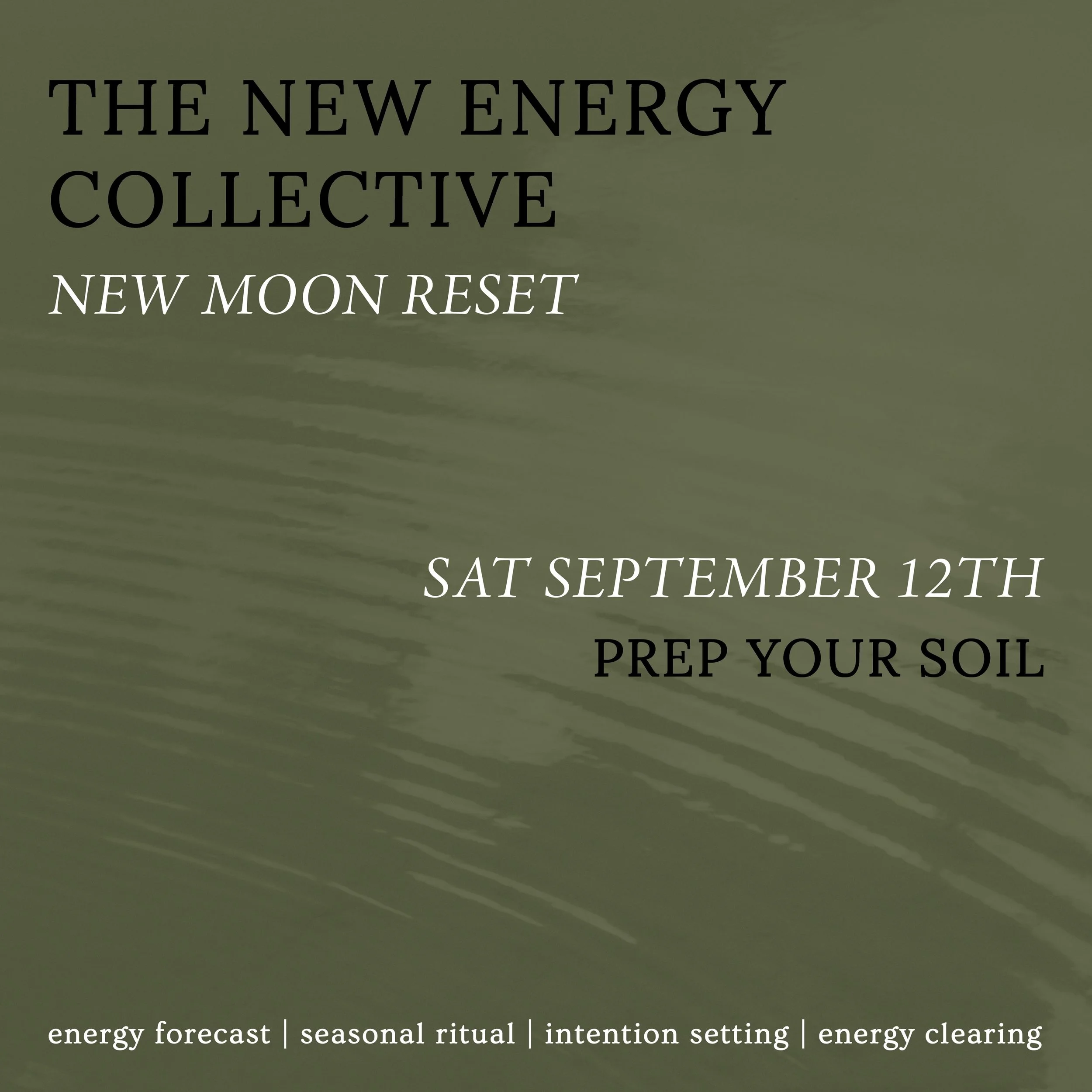 🌑✨New Moon Reset: Prep Your Soil ✨🌑

Join us for a virtual New Moon Reset on Saturday, September 12th at 10 AM PT / 12 PM CT /  6 PM BT as we align with the energy of the New Moon in Virgo.

This month&rsquo;s theme is Prep Your Soil 🌱💫

With a N