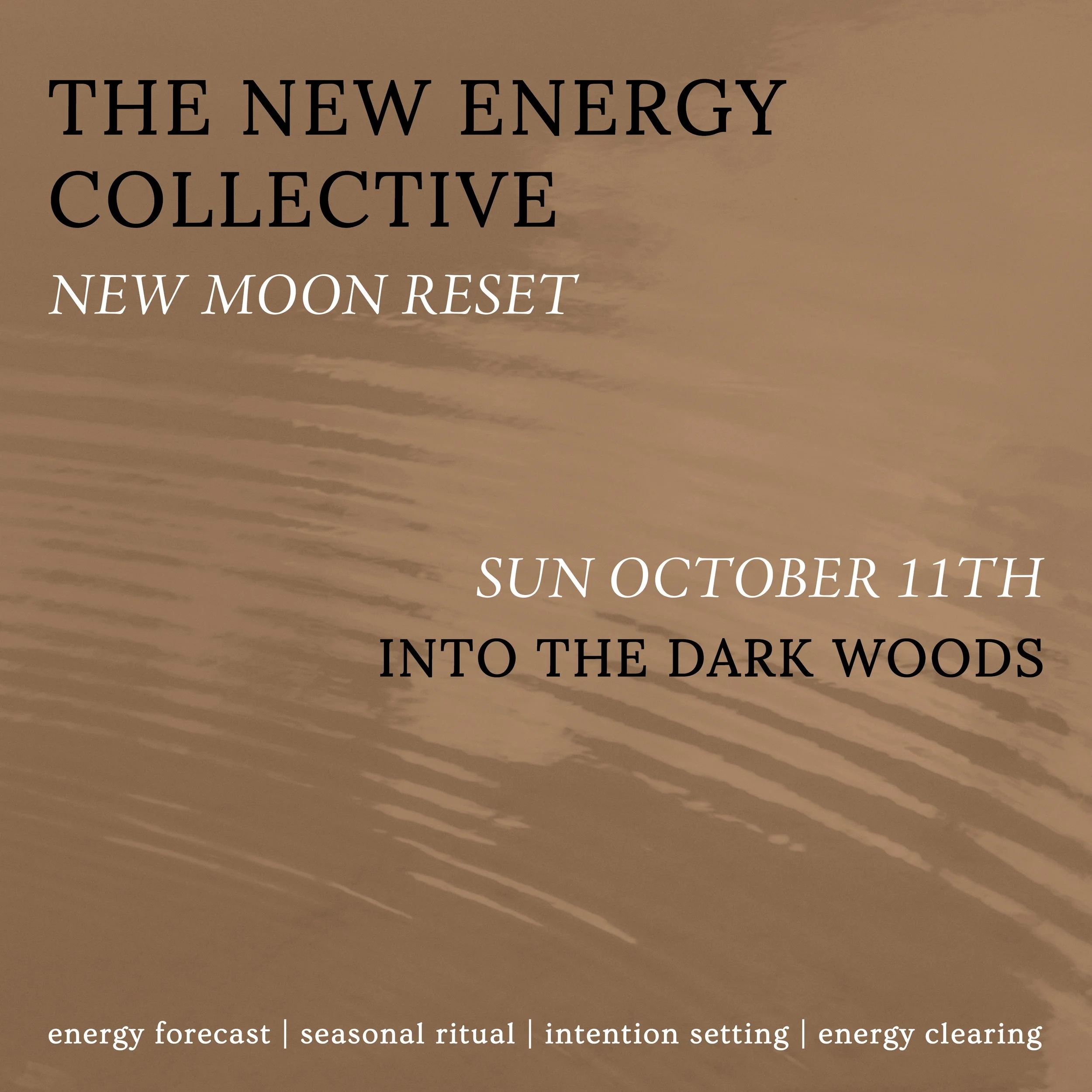 New Moon Ritual: Into the Dark Woods