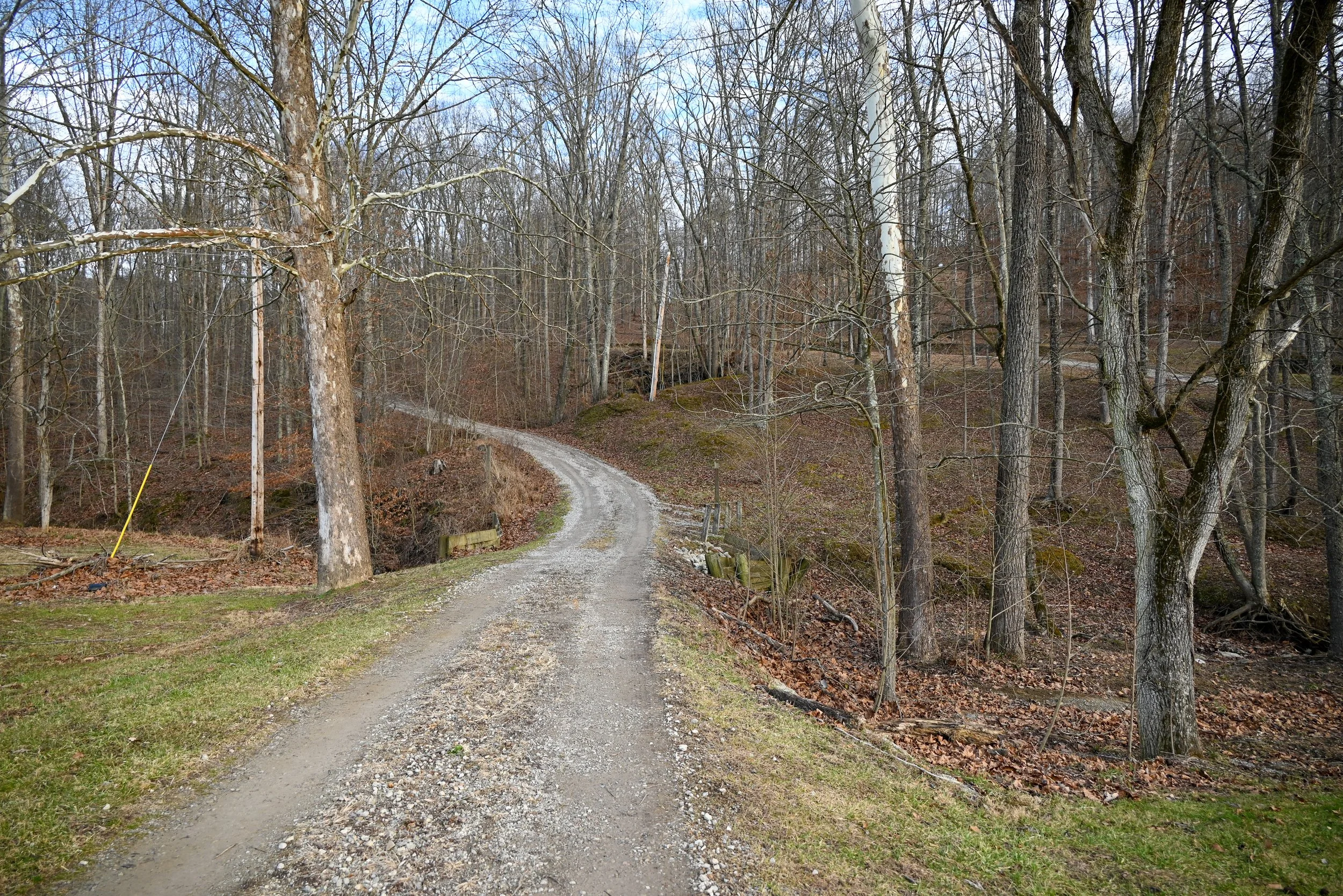 Winding gravel driveway through the wooded hillside leading to Beary Cozy Cabin in Hocking Hills.