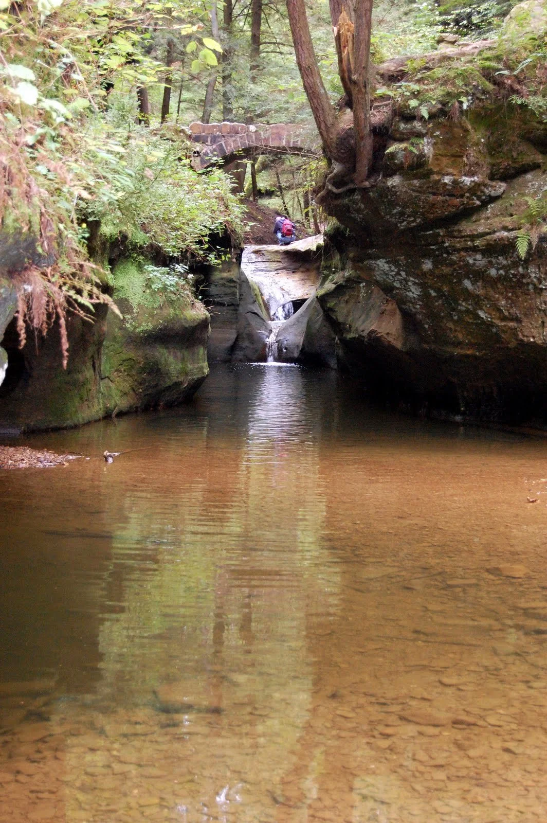 A calm creek surrounded by tall moss-covered sandstone cliffs and dense green forest, with a small waterfall flowing beneath a rustic stone bridge in Hocking Hills.