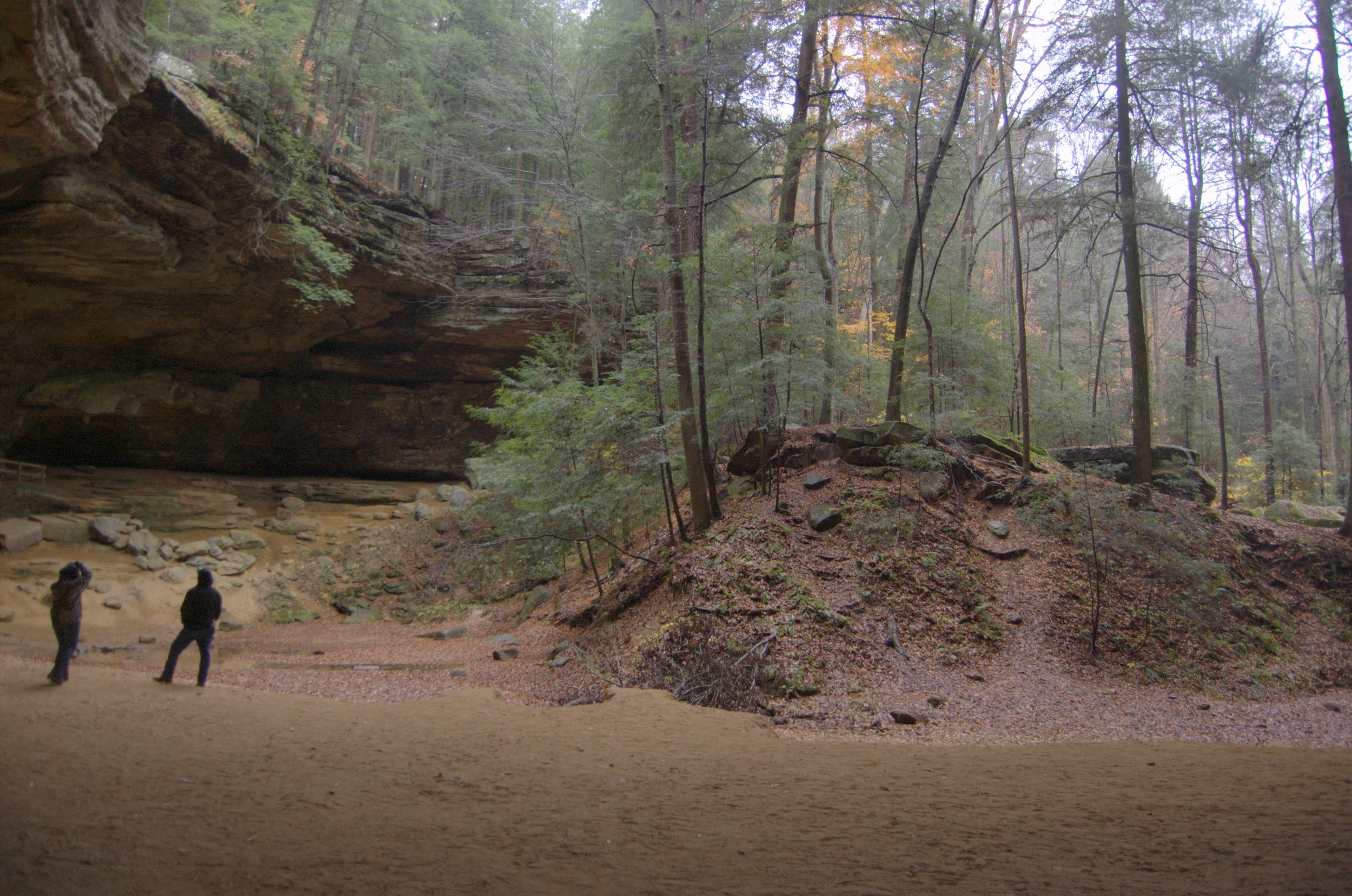 A quiet early‑spring scene at a Hocking Hills rock shelter, featuring tall evergreen and deciduous trees, soft natural light, and a wide sandy floor beneath a large cliff overhang.