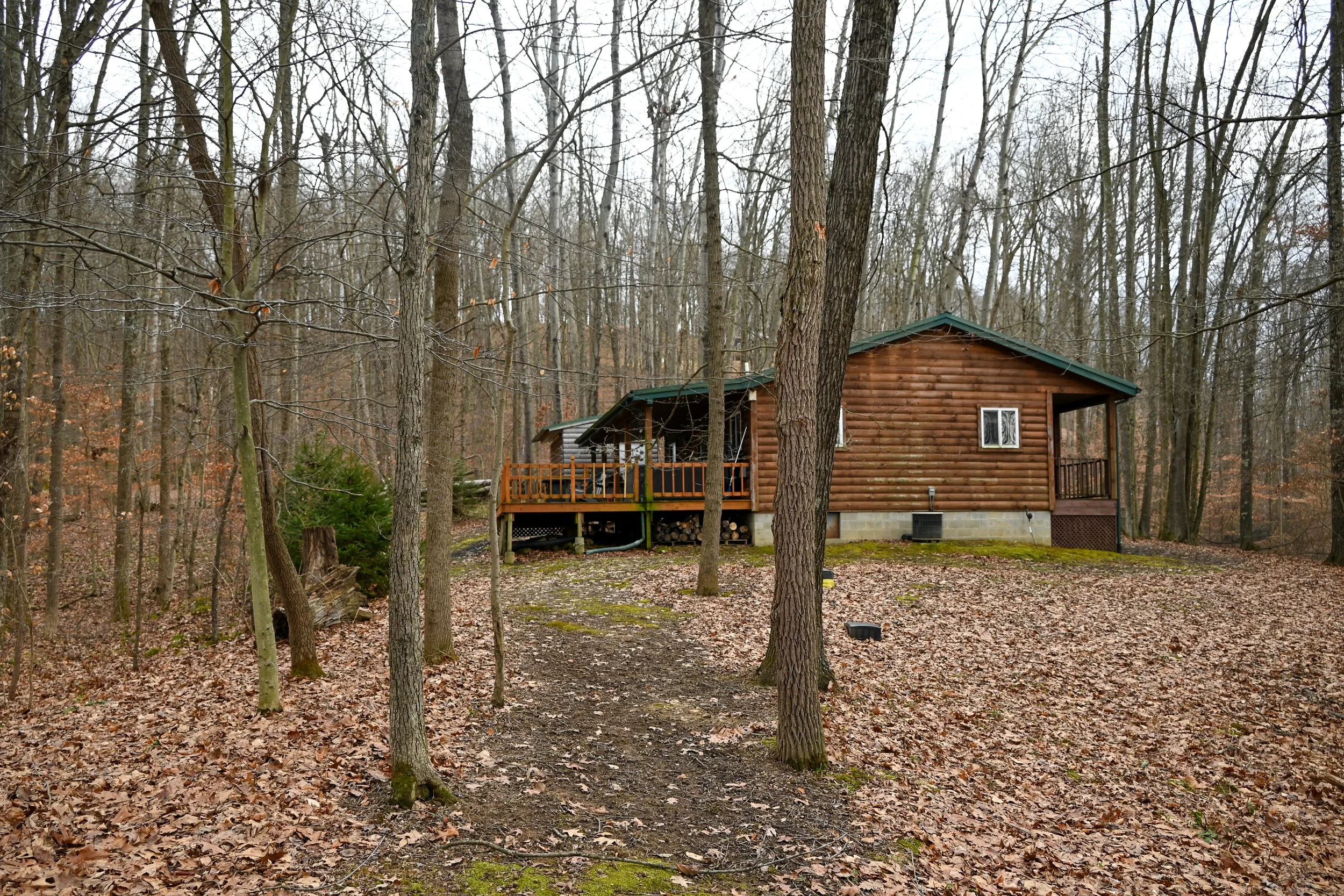 Secluded cabin in the woods at Beary Cozy Cabin in Hocking Hills, surrounded by tall trees and natural forest scenery.