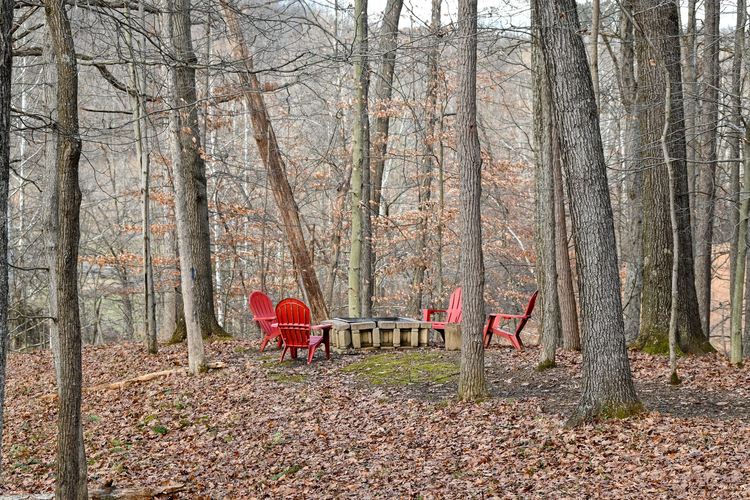 Wooded outdoor fire pit area at Beary Cozy Cabin in Hocking Hills, featuring red Adirondack chairs surrounded by trees for a peaceful guest retreat.