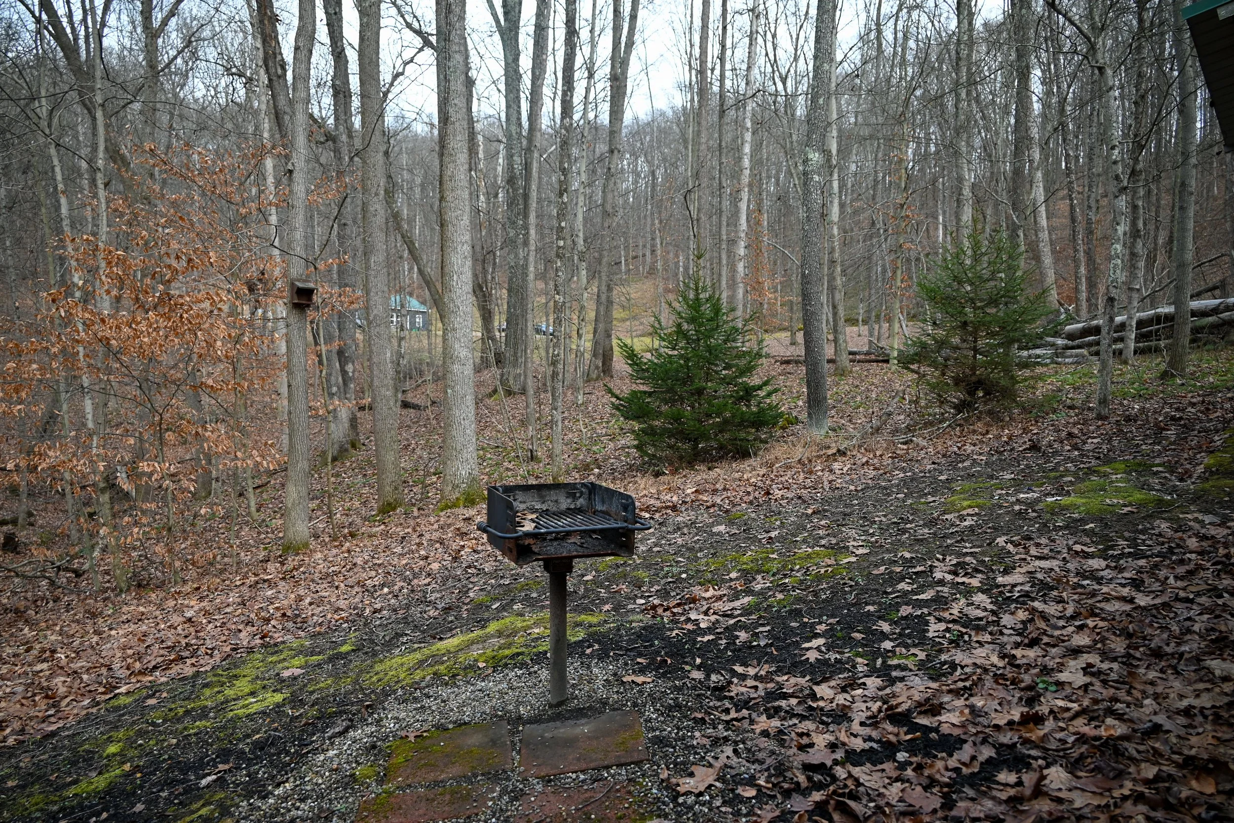 Charcoal grill area in the wooded backyard at Beary Cozy Cabin in Hocking Hills, offering guests a private outdoor cooking spot surrounded by nature.