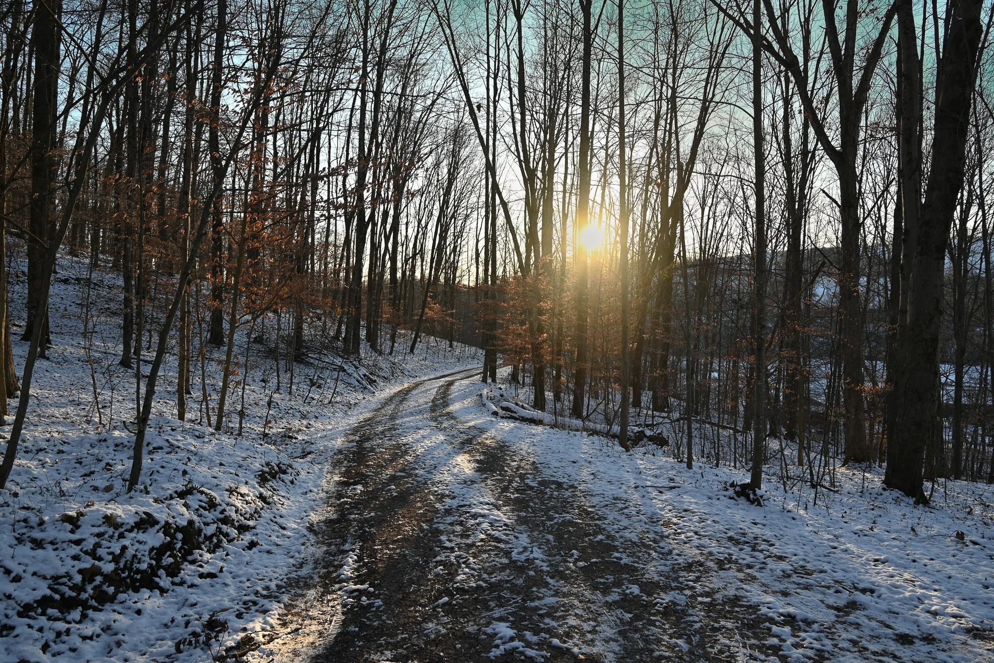Winter view of Beary Cozy Cabin surrounded by snow, creating a peaceful January retreat.