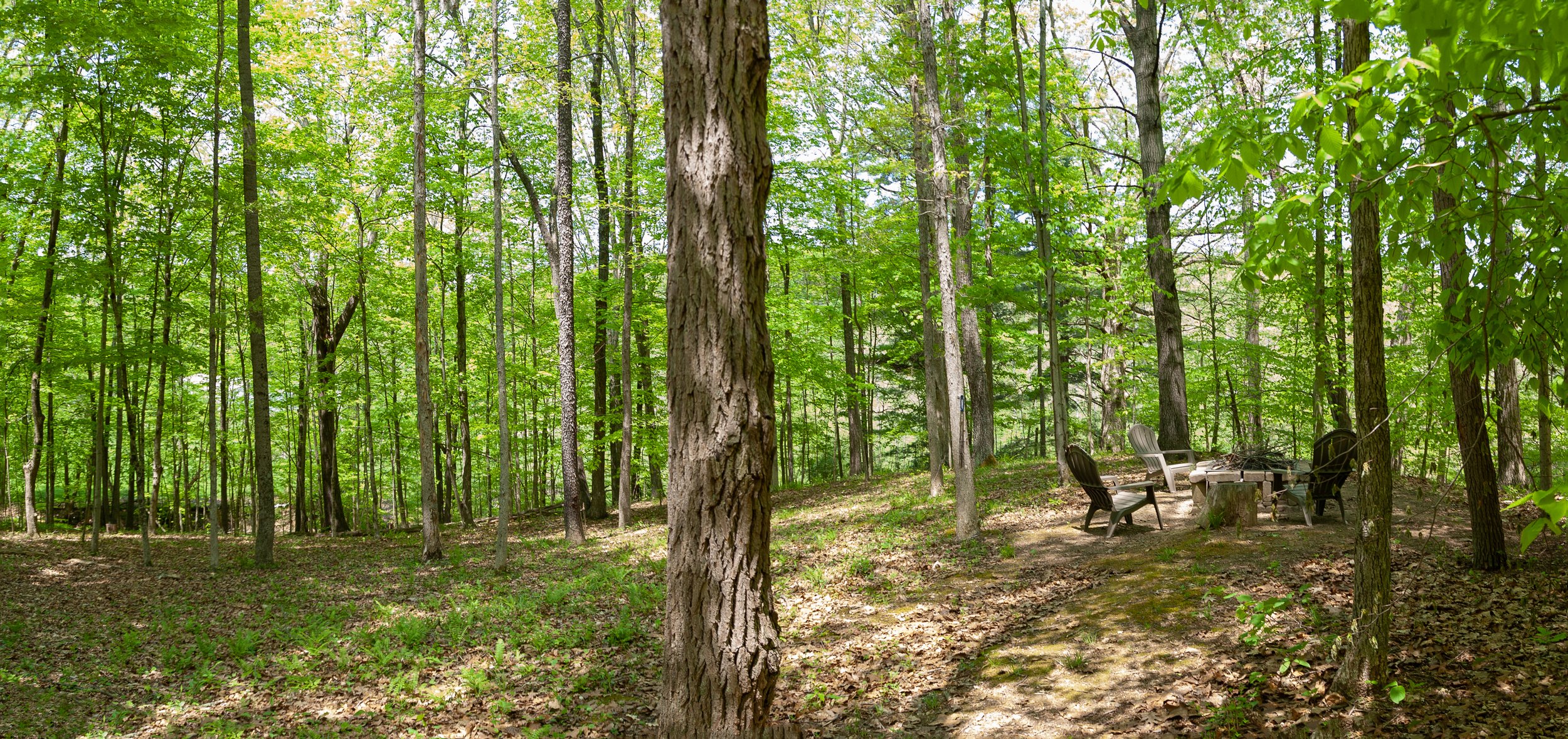 DSC_4709-Pano.jpg