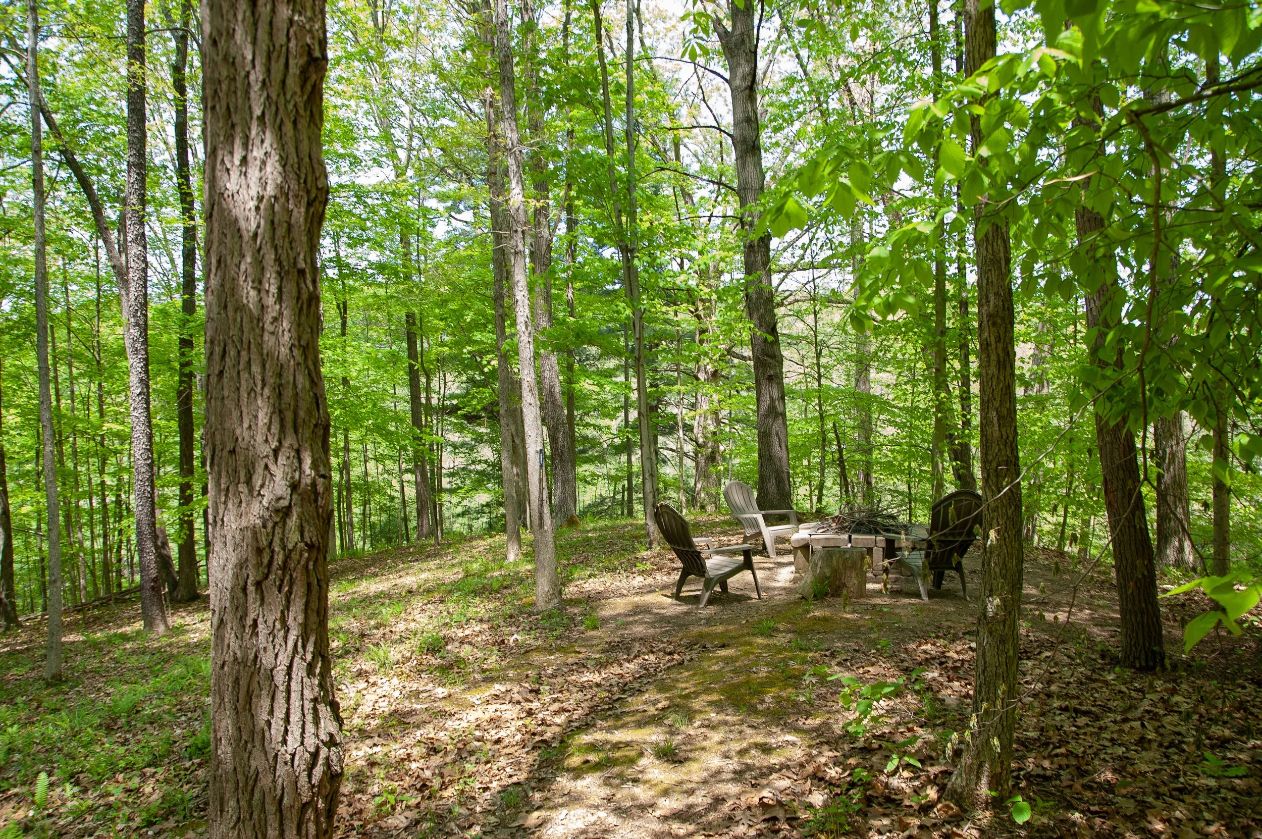 DSC_4709.jpg