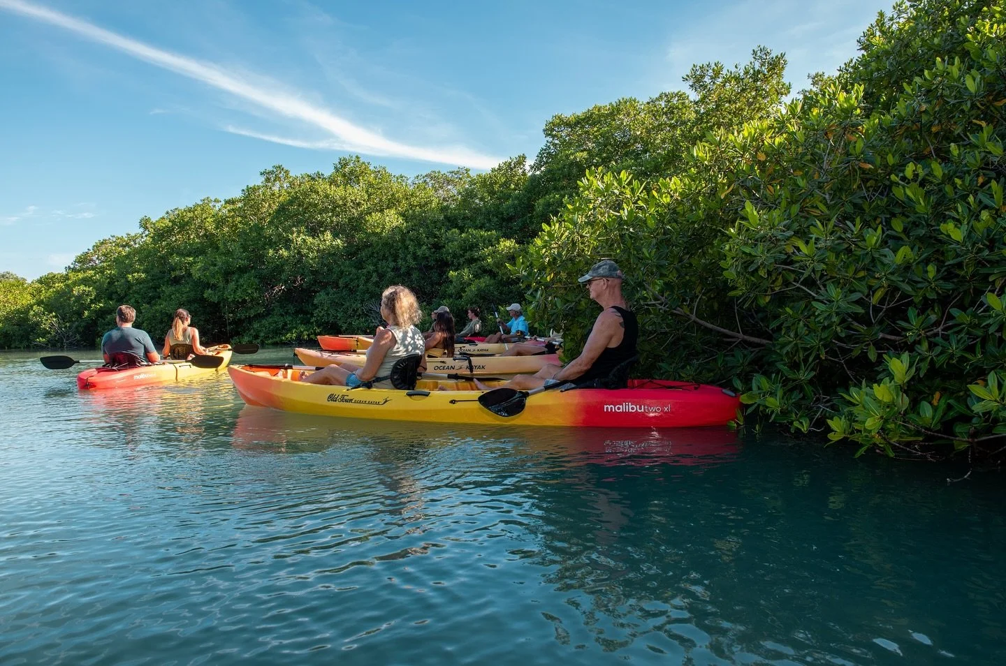 Mangroves in Bonaire absorb up to four times more carbon than tropical rainforests, making every paddle through these waters not only an adventure but also a journey through one of the island&rsquo;s most powerful climate protectors.

#mangrovecenter