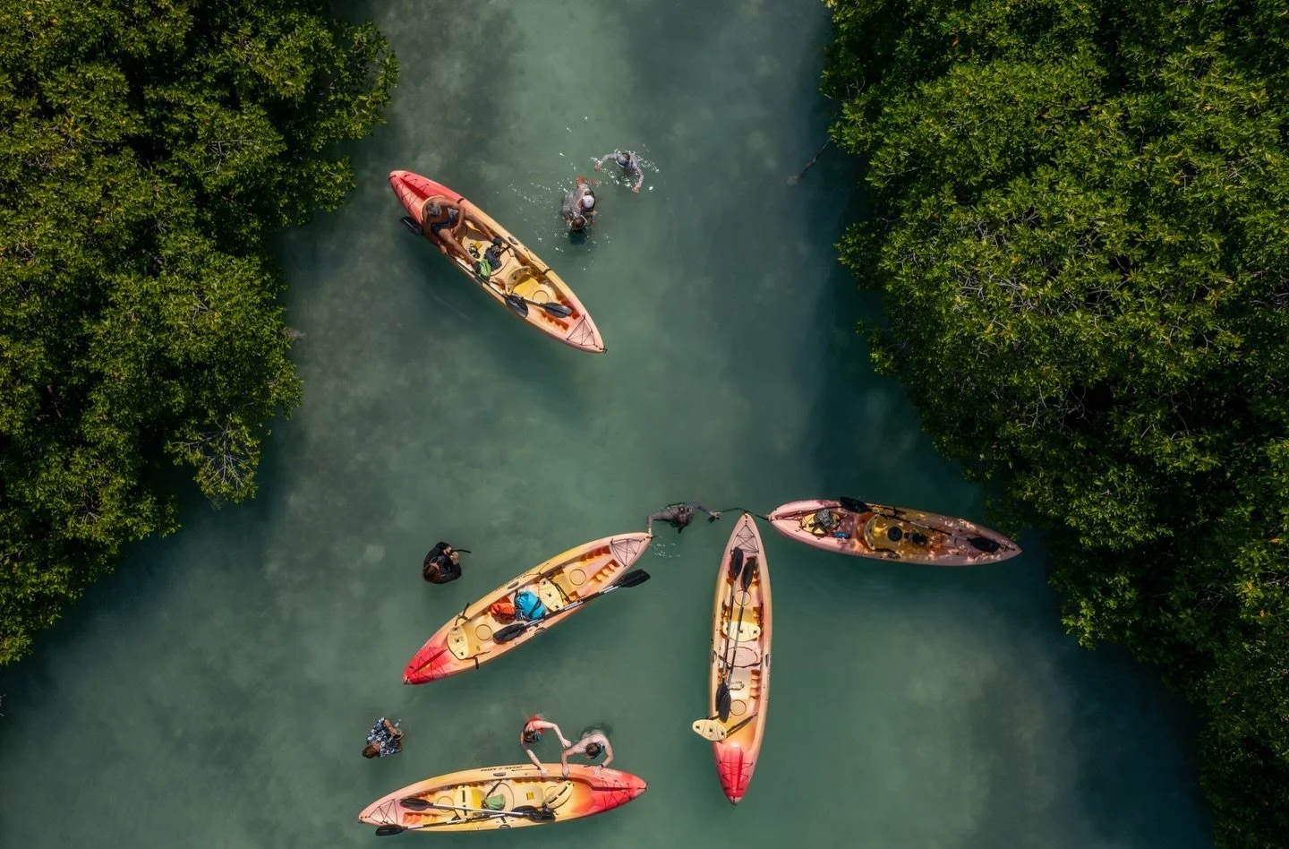 🚣 Together in the Wild

Gathered in the calm of the mangroves, kayakers pause between emerald walls of green. It&rsquo;s a moment of connection, with nature, with each other, and with the quiet beauty of Bonaire.

#mangrovecenterbonaire #bonaire #ma