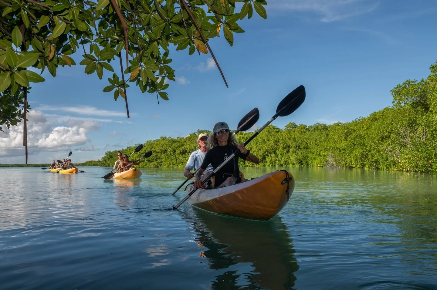 🌱 Mangroves: Nature&rsquo;s Nurseries

The roots hanging above the kayaks belong to red mangroves, which provide vital shelter for young fish and crustaceans. These nurseries are the first home for species that later populate Bonaire&rsquo;s coral r