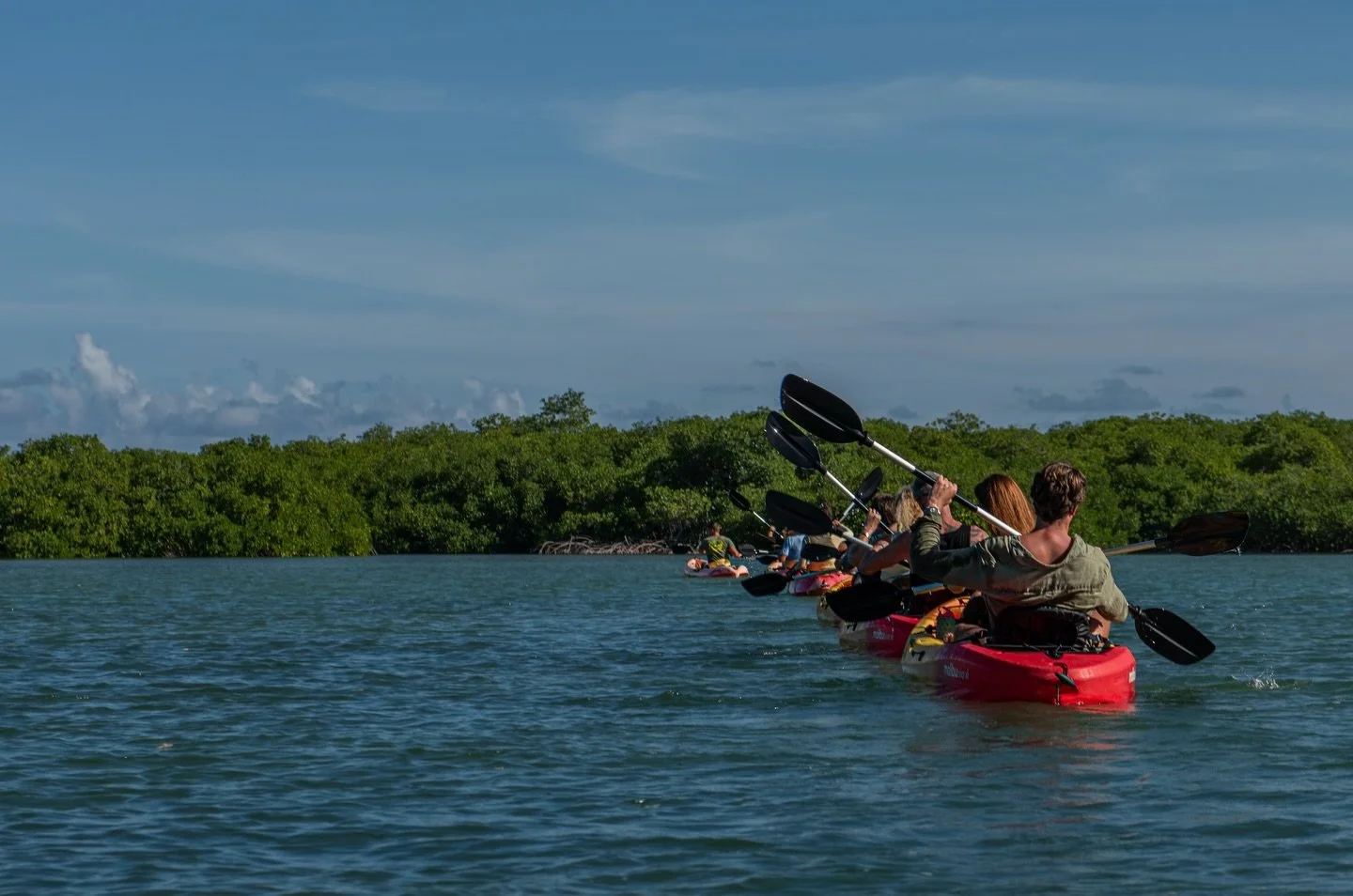 Paddling in Perfect Rhythm 🚣&zwj;♀️🌿

A calm stretch across Lac Bay sets the tone for the journey ahead. Out here, the mangroves act as natural breakwaters, slowing waves, reducing erosion, and protecting the lagoon from heavy winds. Each paddle st