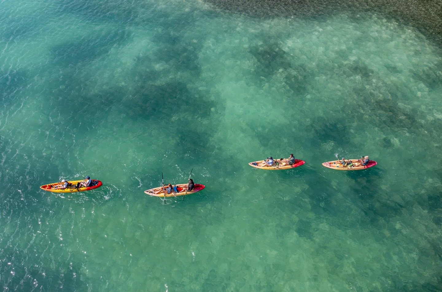 Floating Over a Living Mosaic 🌊✨

From above, the lagoon reveals shifting shades of turquoise &mdash; the result of seagrass beds thriving beneath the surface. These meadows work together with the mangroves to capture carbon, making this area one of