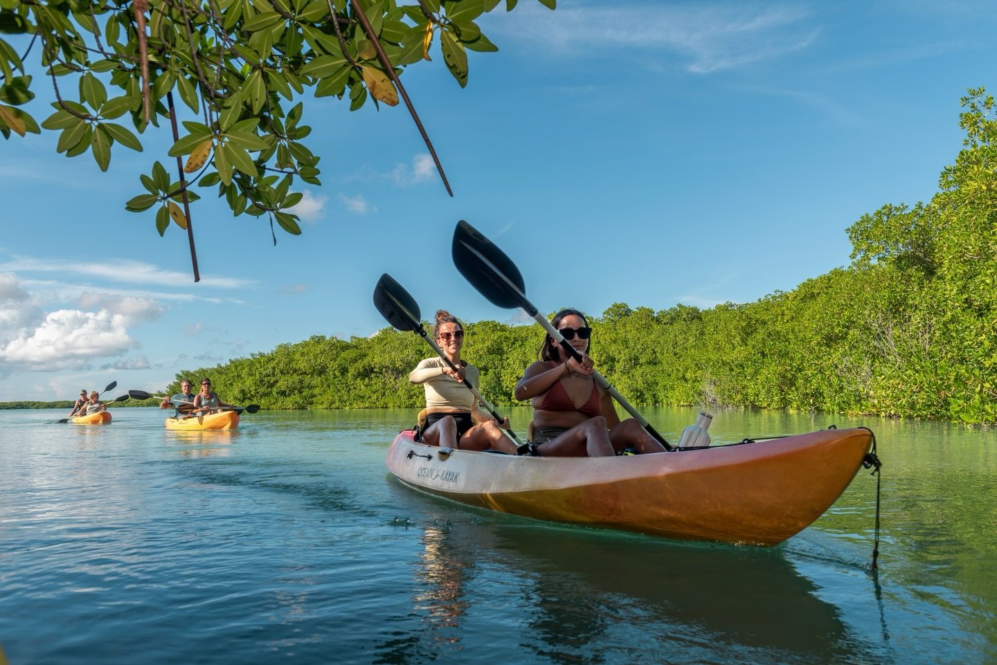 Gliding Into Calm 💛🛶

Sunlit water, steady paddles, and nothing but mangroves on the horizon. Sometimes the best adventures are the ones that slow you down and let nature take the lead.

#KayakBonaire #NatureMoments #mangrovebonaire