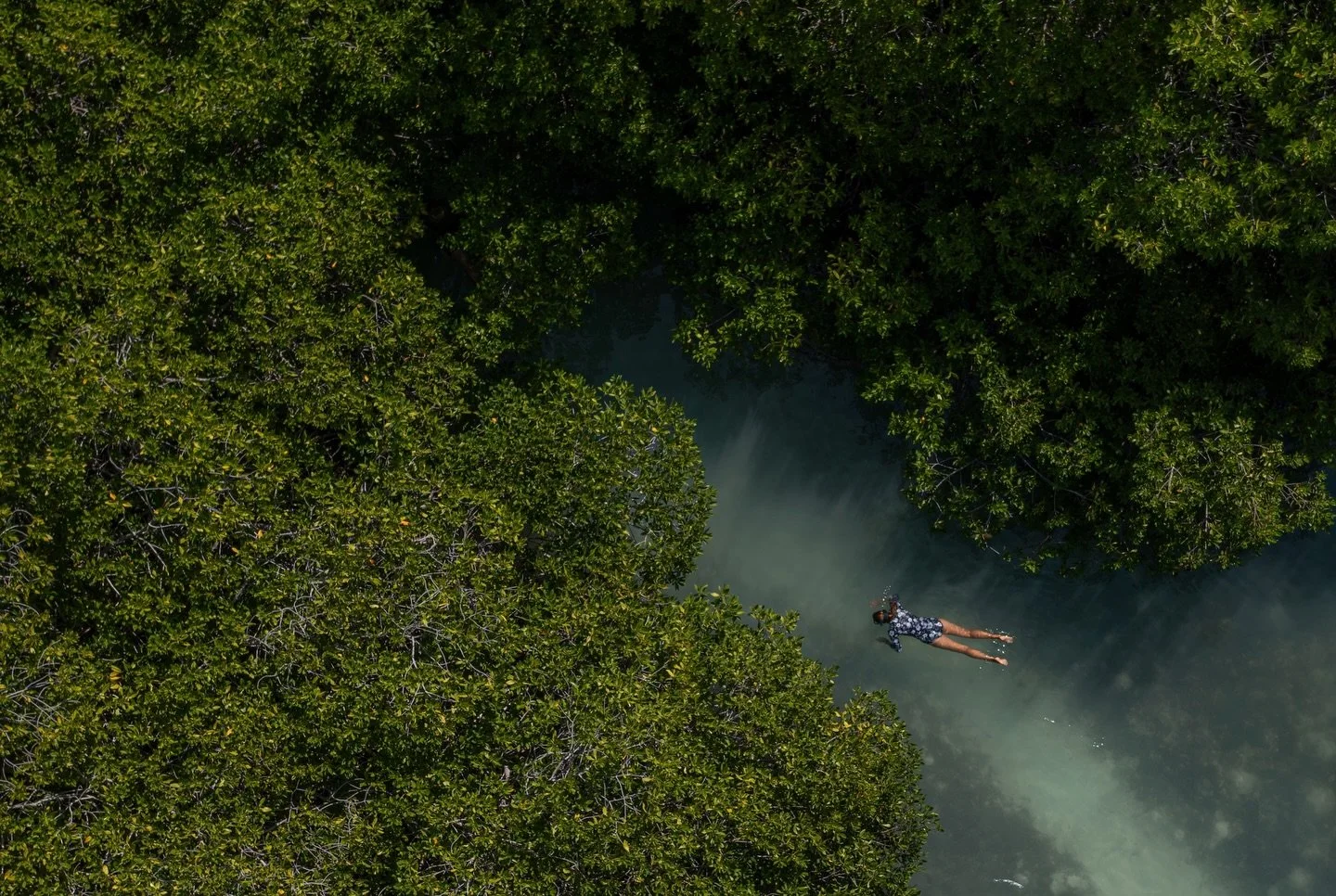 A Hidden Pathway from Above 🌿🔎

Seen from the sky, the mangrove channels look like secret passageways carved into the landscape. These narrow corridors are vital migration routes for fish and invertebrates, guiding them safely between the shallow n
