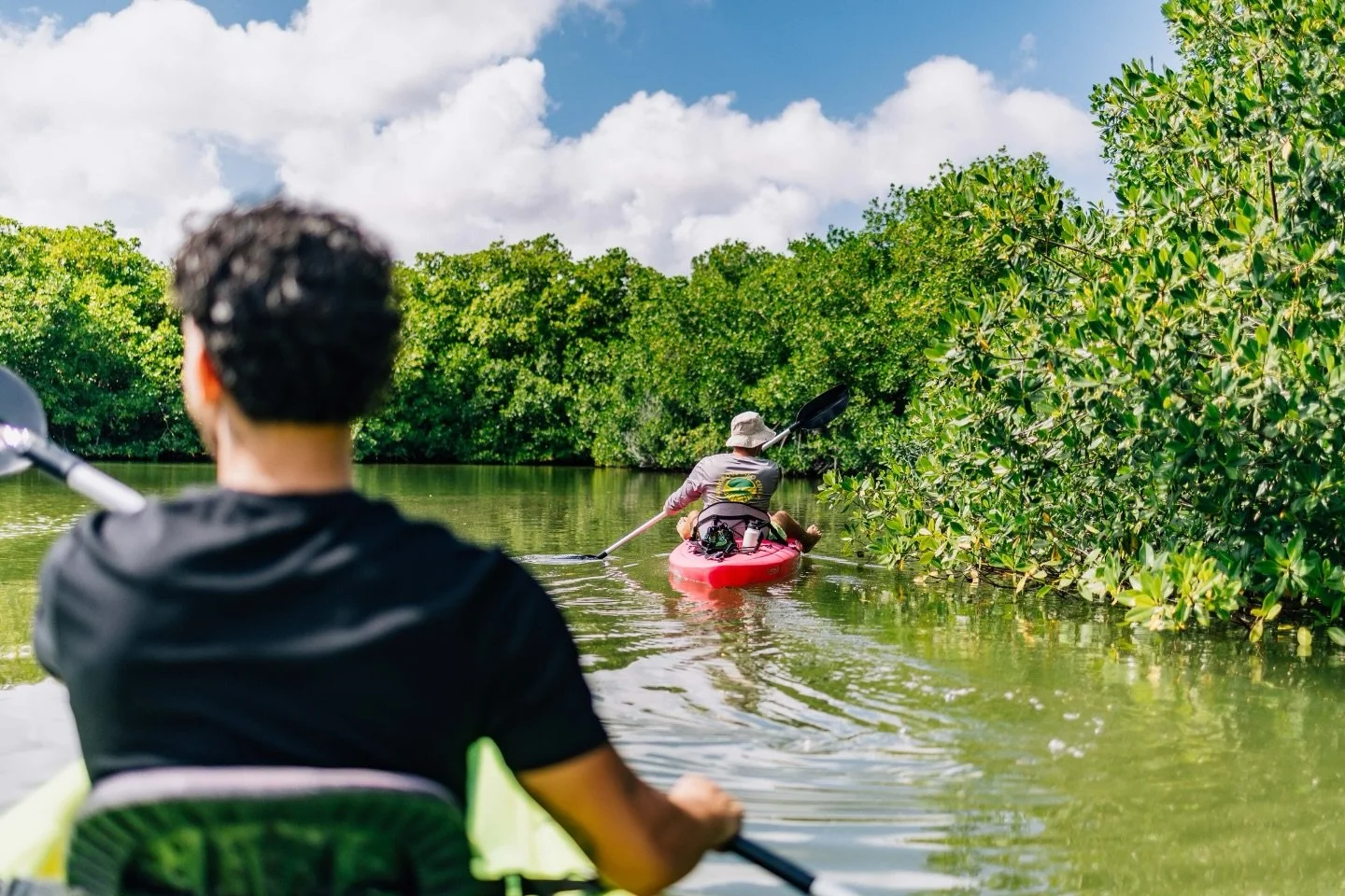 Exploring the Hidden Channels 🚣&zwj;♂️🌿

Kayaking through the mangroves feels like navigating a natural maze. These channels are shaped by tides and currents that slowly carve their way through the forest over many years.

#KayakAdventure #Mangrove