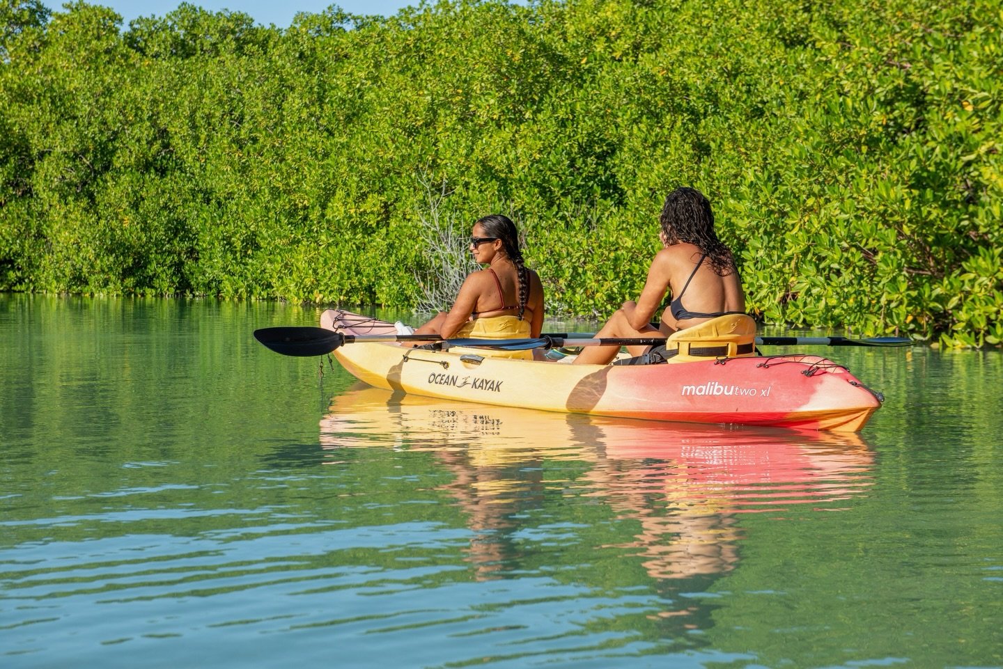 Drifting Through Green Paradise 🌿☀️

Floating through calm mangrove waters, surrounded by nothing but nature. The reflection, the silence, the feeling of being completely off the grid&hellip; this is Bonaire at its purest.

Fun fact: mangroves don&r