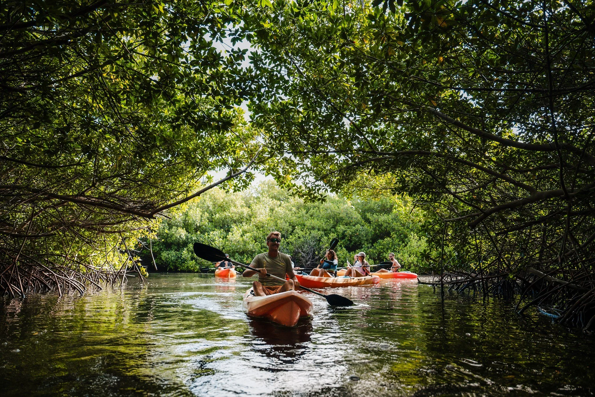 🛶 Welcome to the mangrove tunnels
This is where kayaking gets really special.

Follow your guide through the calm waters and narrow passages of Bonaire&rsquo;s mangroves while discovering how this fascinating ecosystem works.
Quiet water, green surr