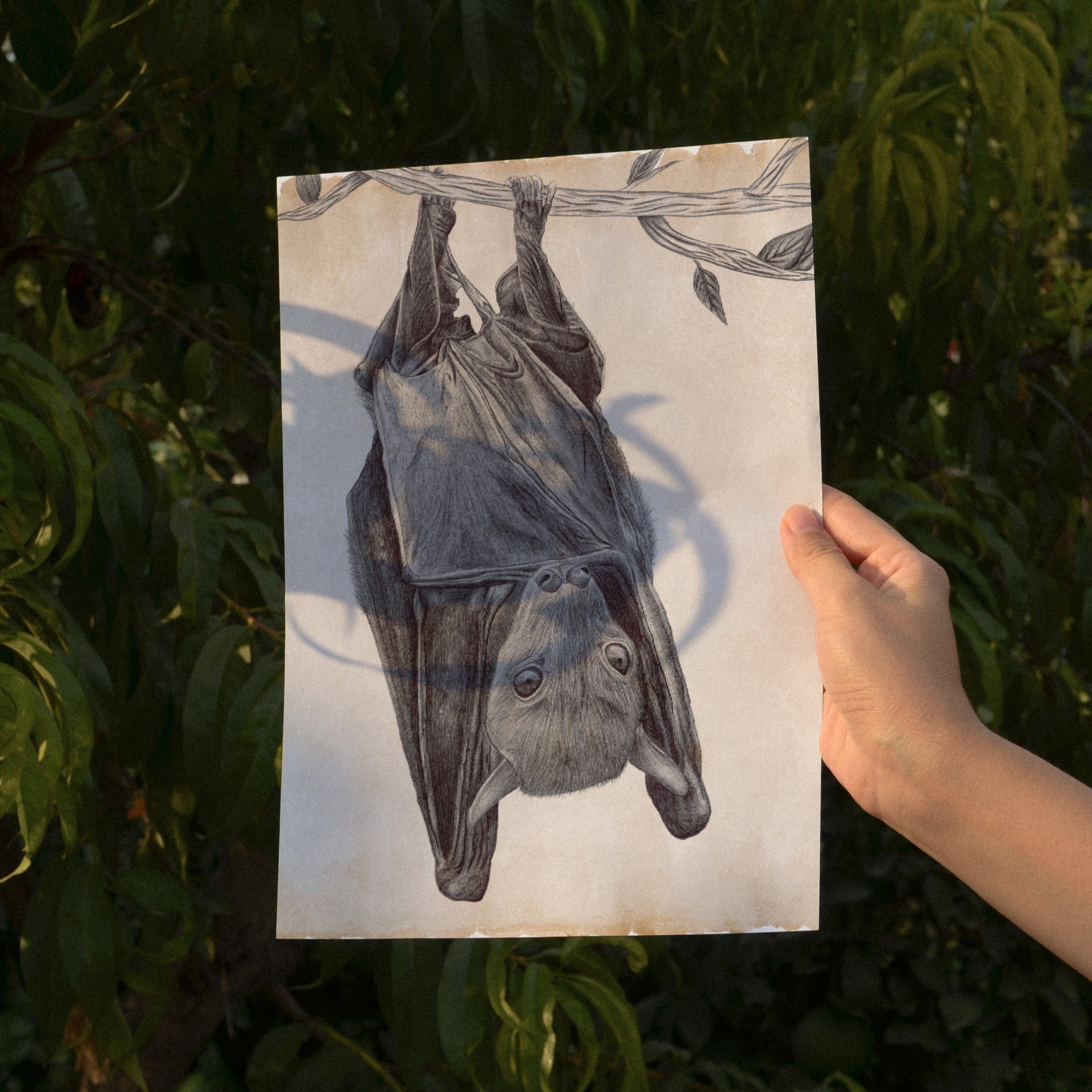The+Bat.+Mock.jpg