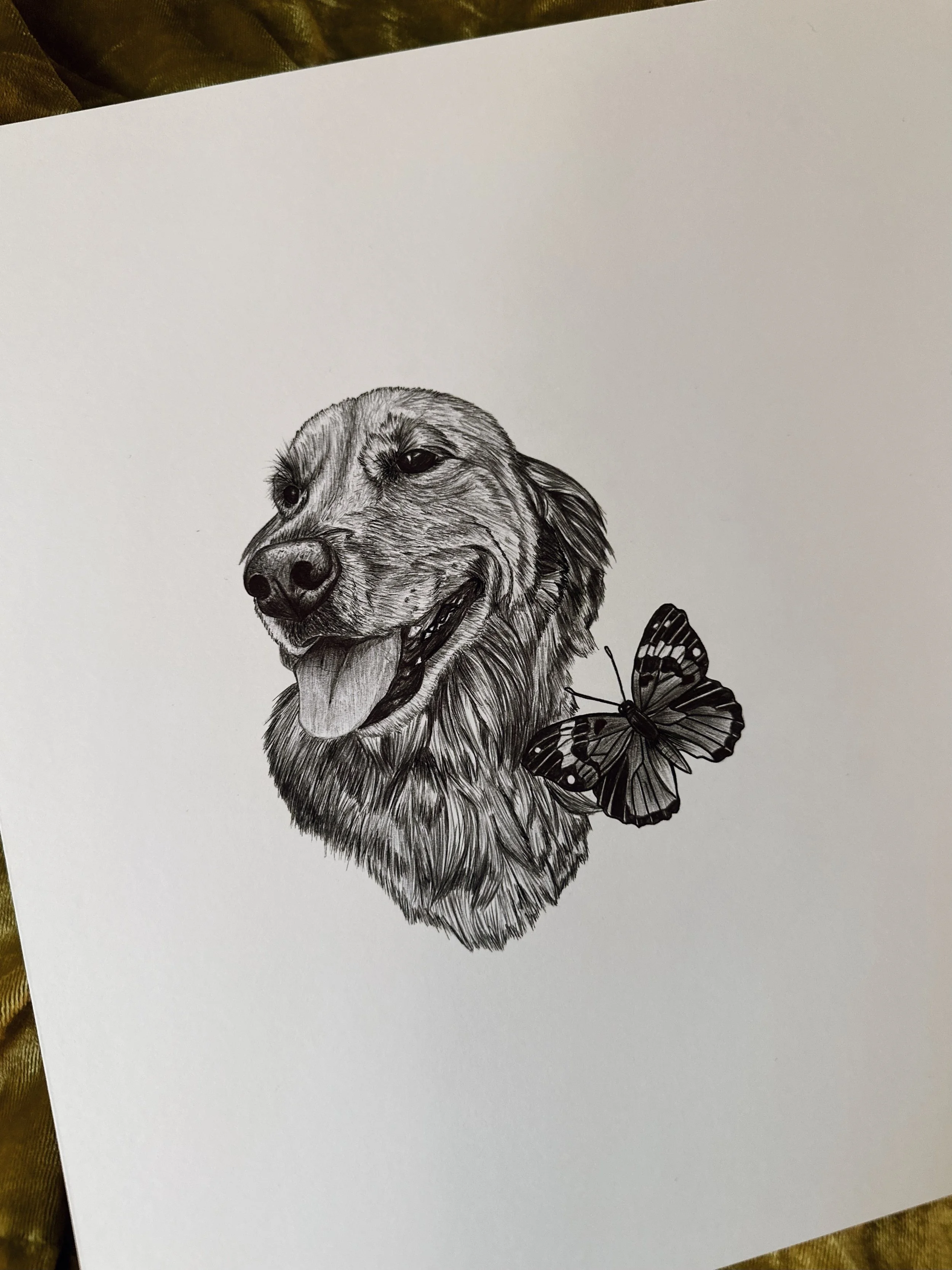 FullSizeRender_VSCO 6.JPG