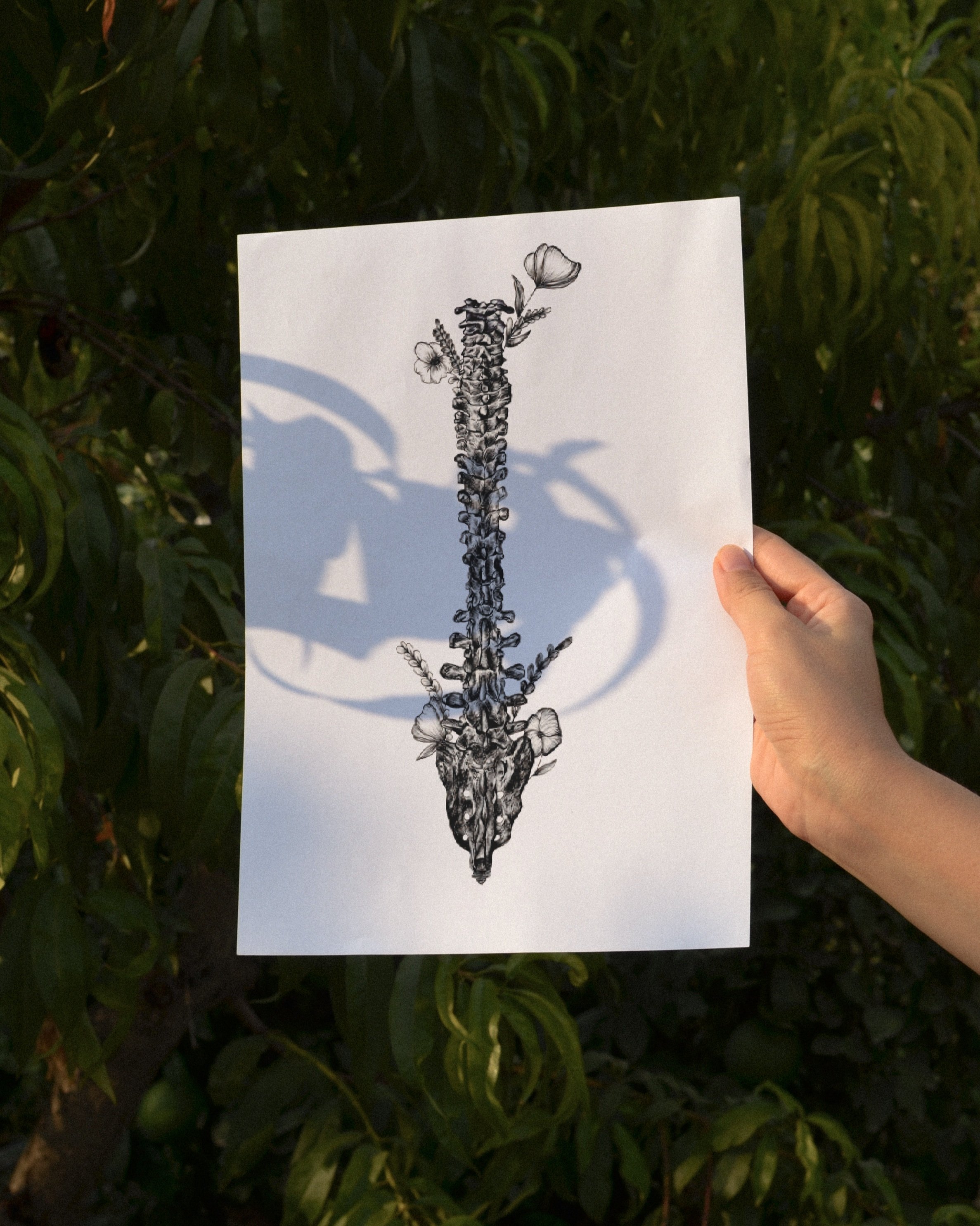Foral+Spine+Mock+Hand.jpg