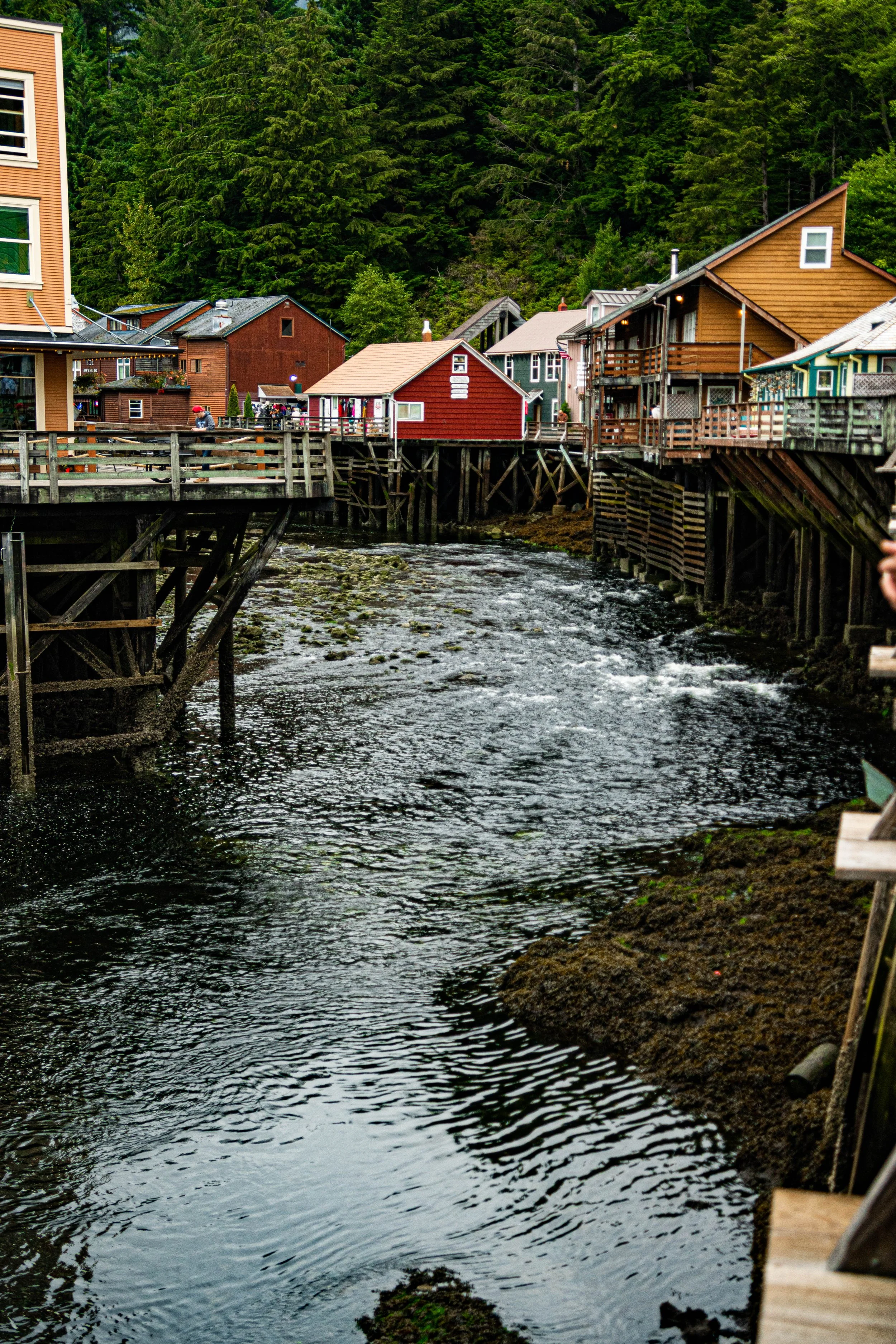 ketchican (3 of 9).jpg