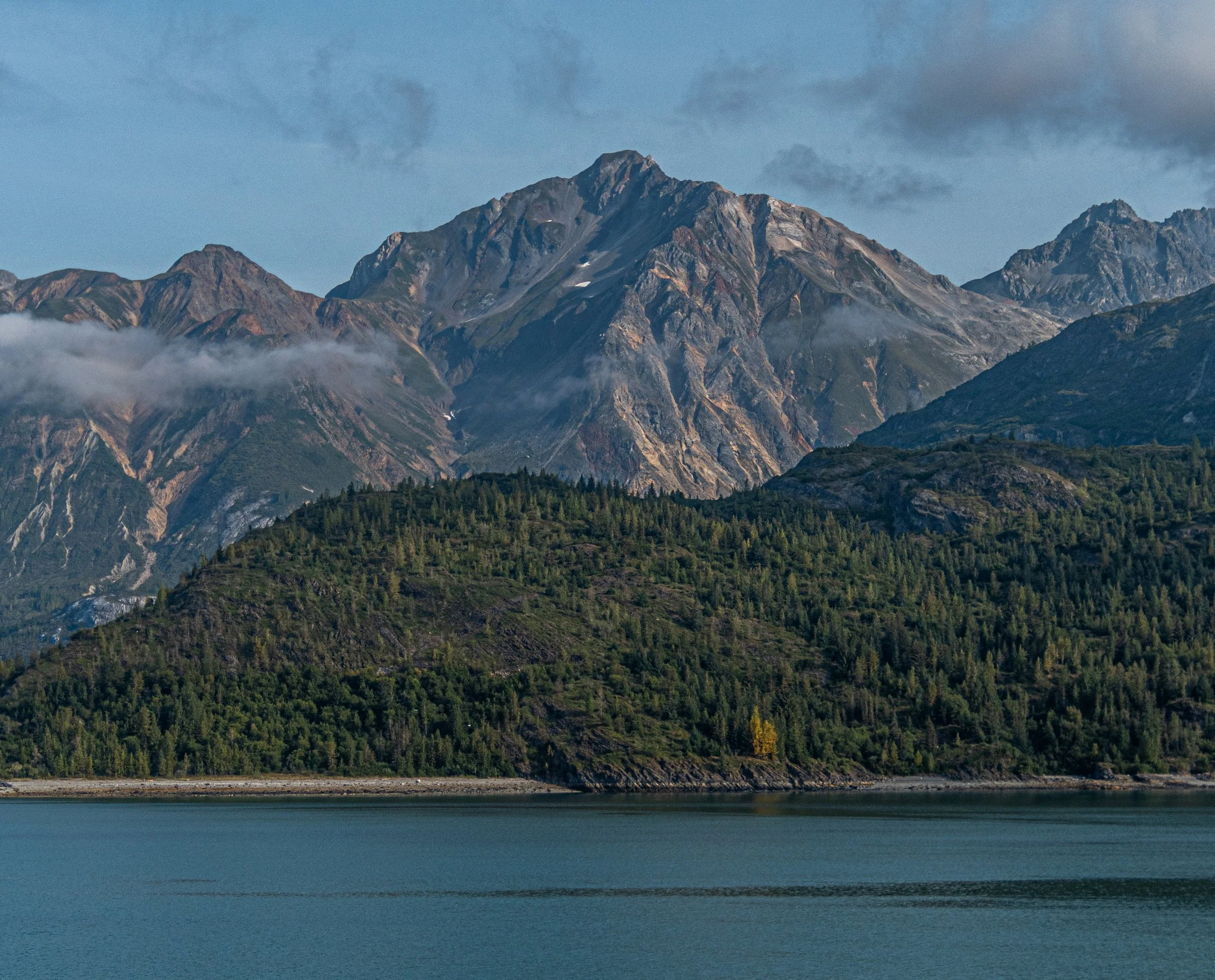 5stars (9 of 19)aaa.jpg