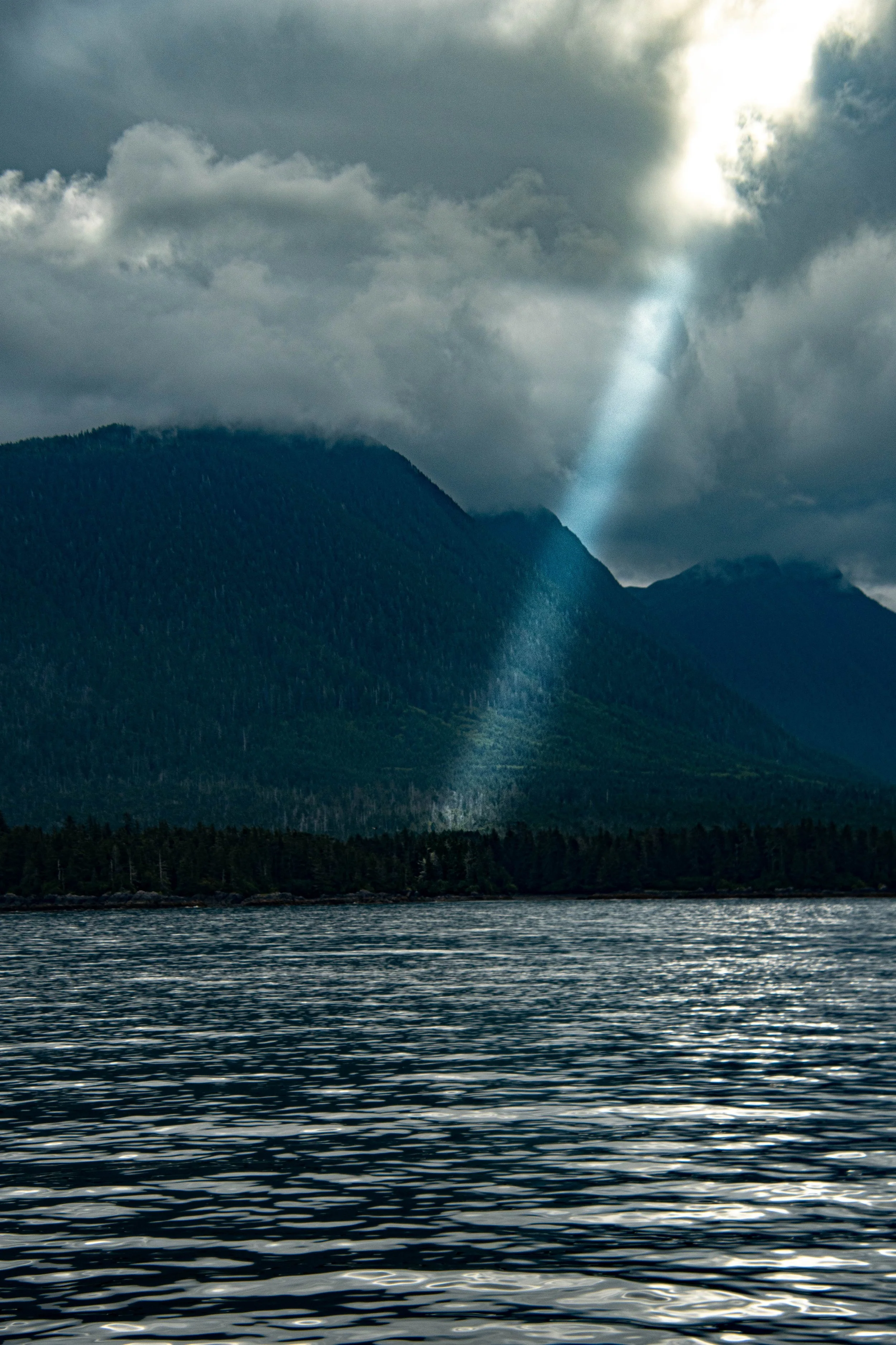 ketchican (13 of 19).jpg