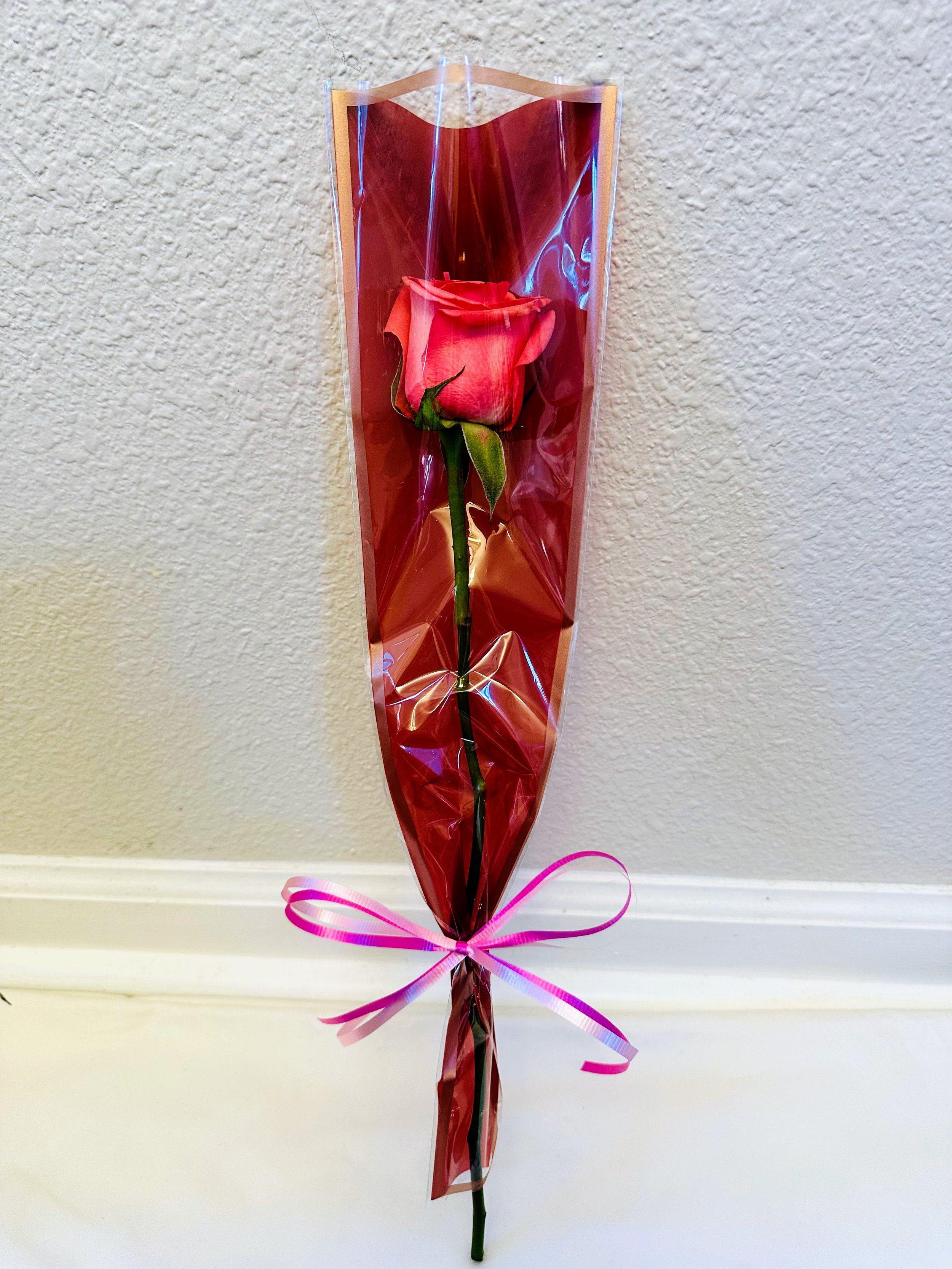 single 7.jpg