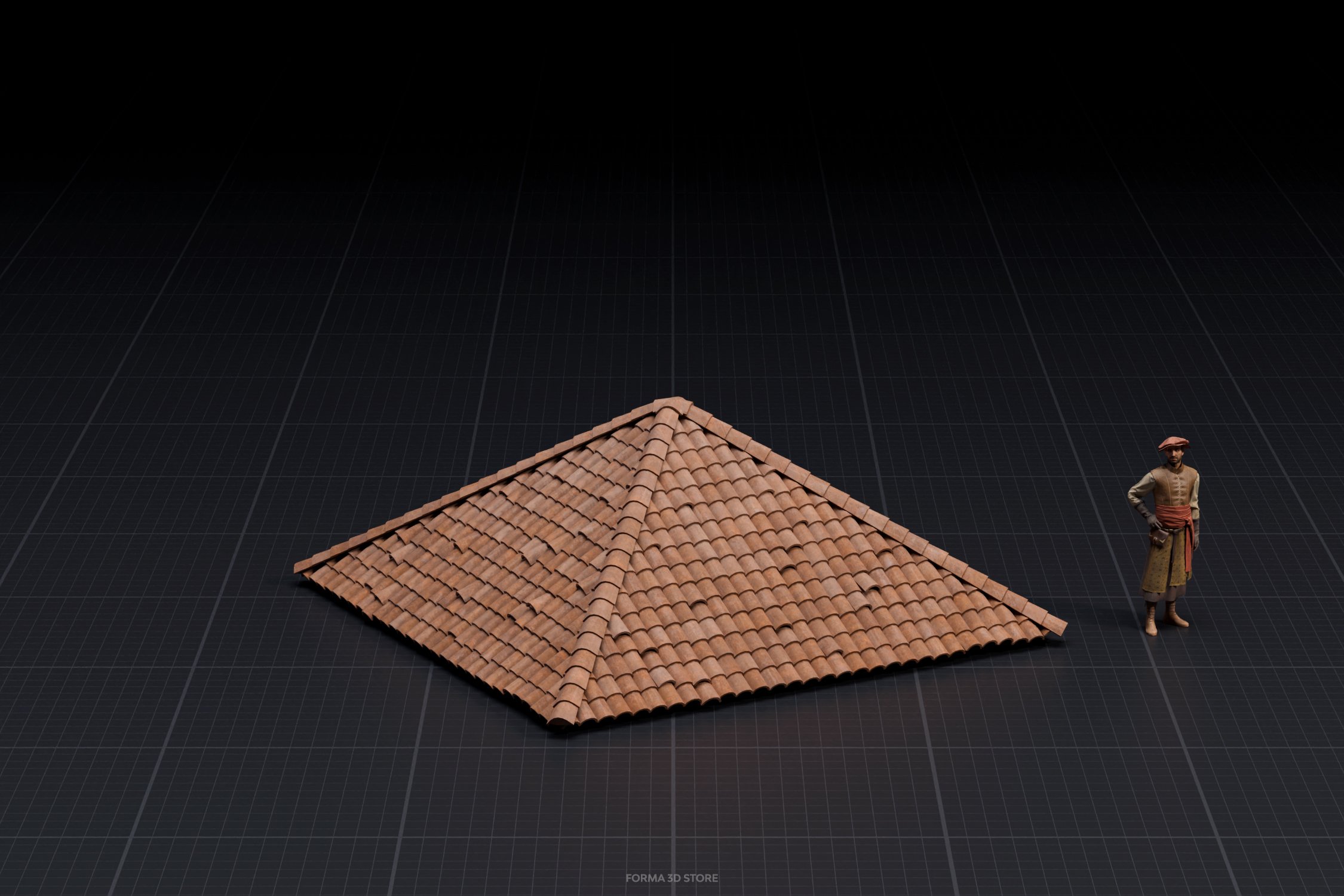 roof_1 copy.jpg