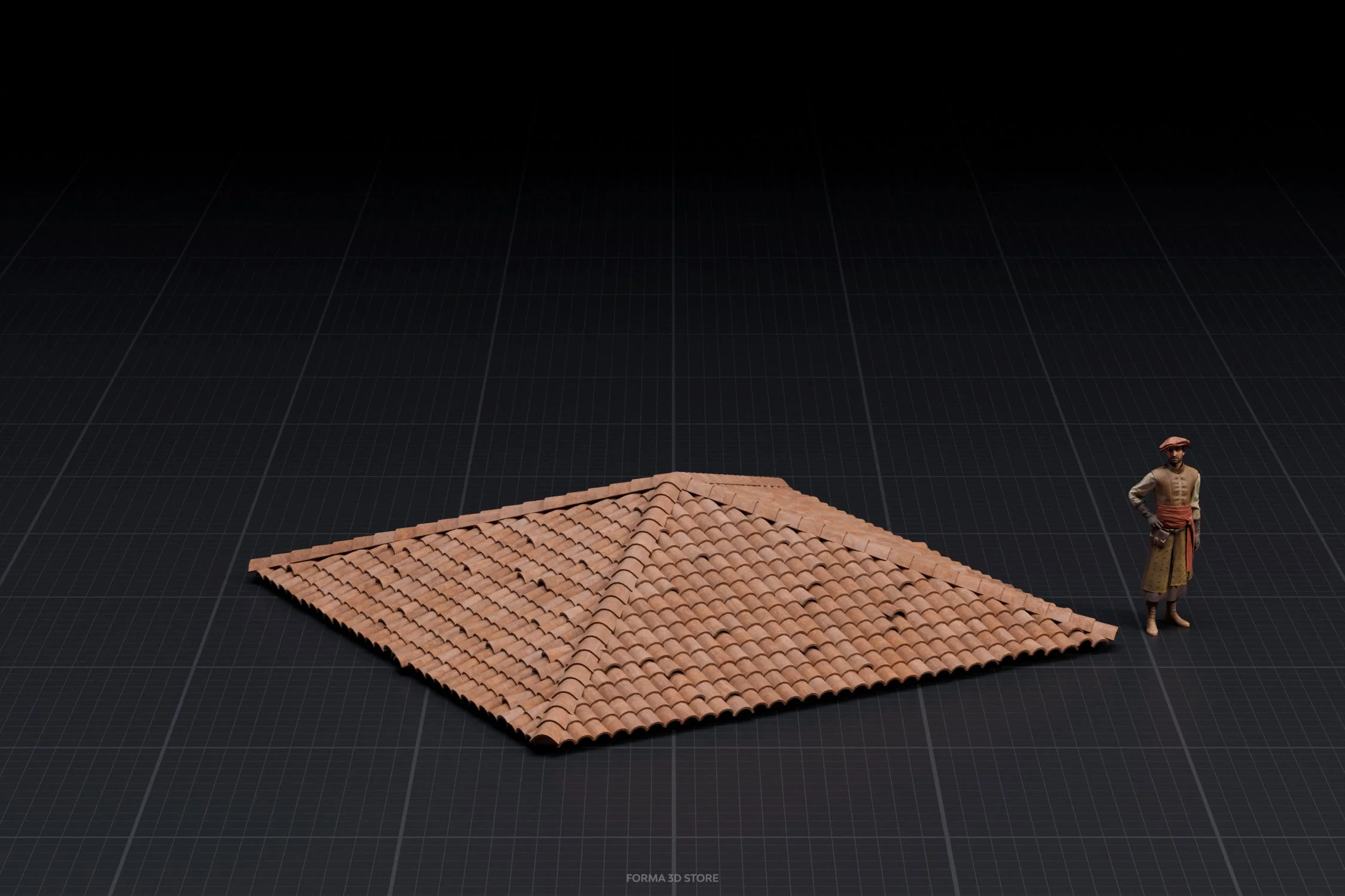 roof_2 copy.jpg