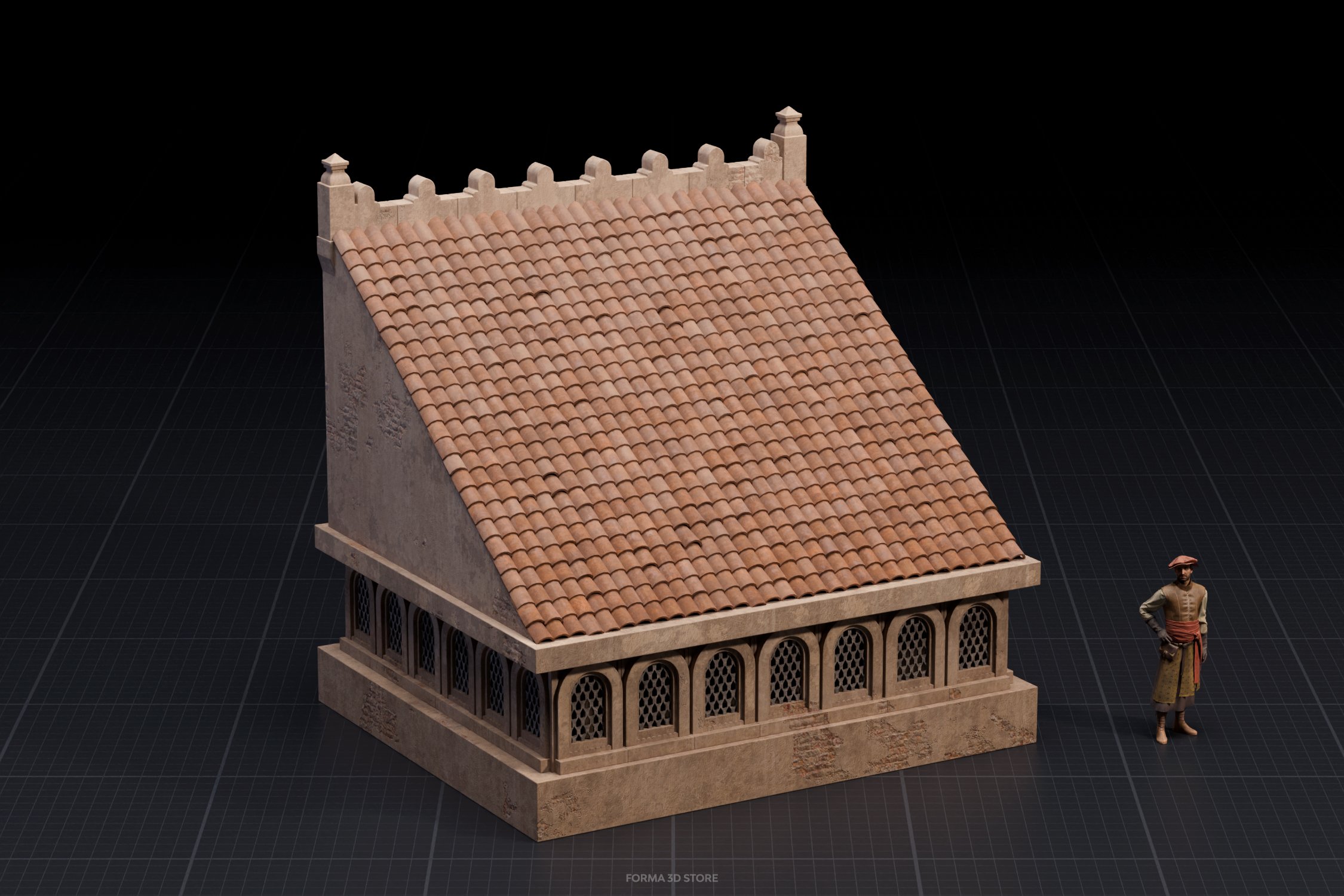 roof_6 copy.jpg